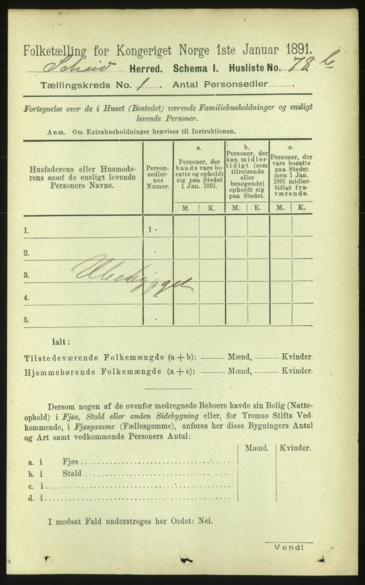 RA, 1891 census for 1732 Skei, 1891, p. 158