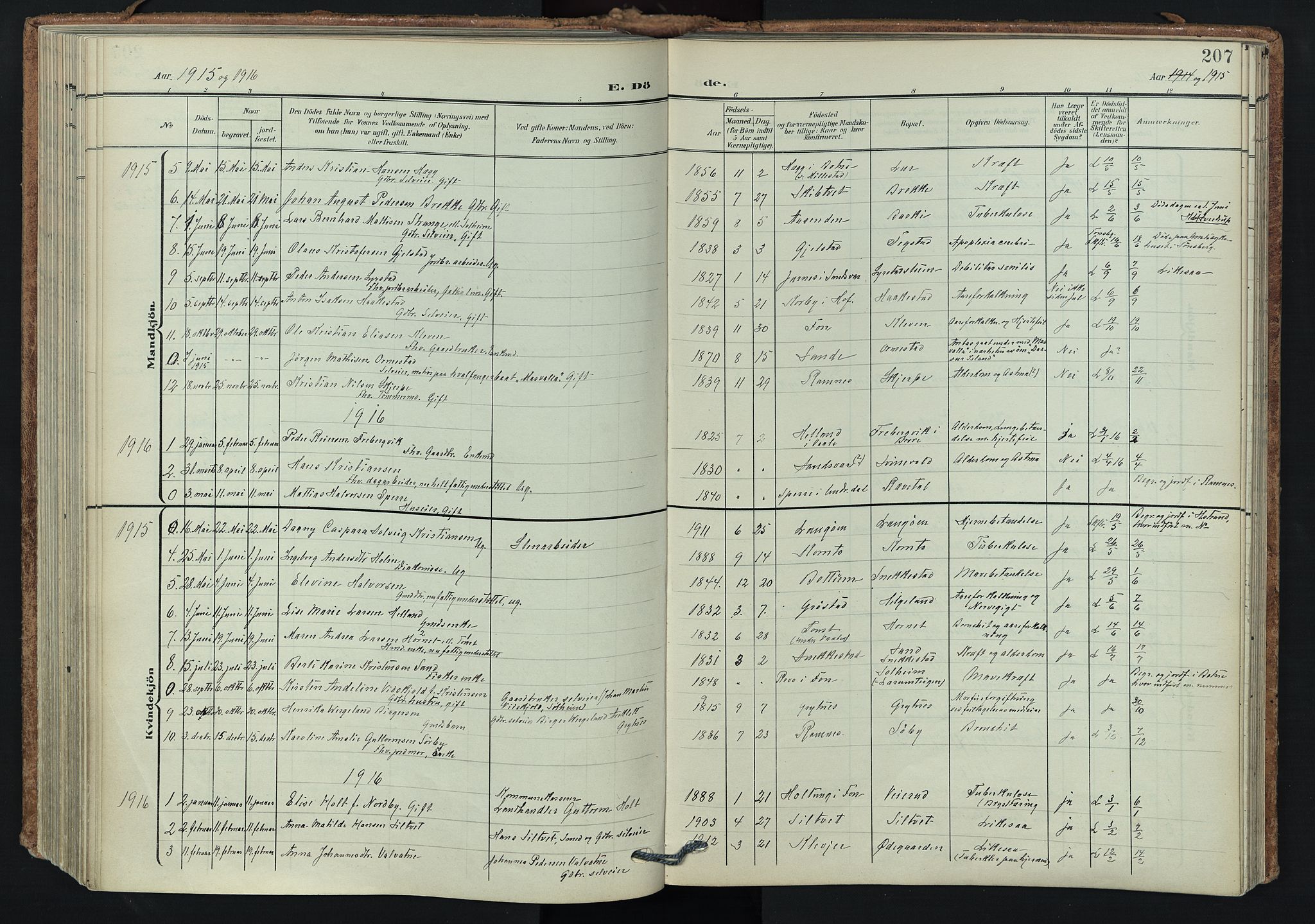 Våle kirkebøker, AV/SAKO-A-334/F/Fa/L0012: Parish register (official) no. I 12, 1907-1934, p. 207