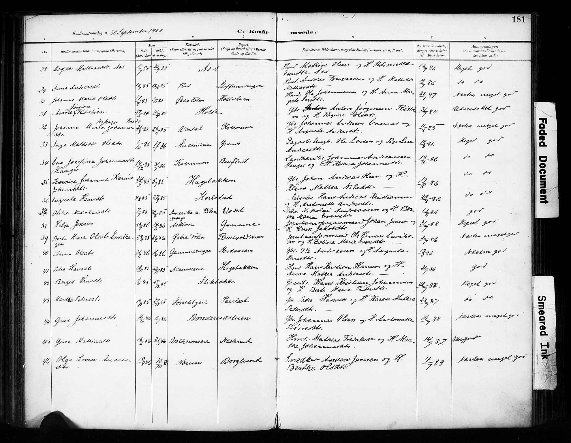 Vestre Toten prestekontor, SAH/PREST-108/H/Ha/Haa/L0011: Parish register (official) no. 11, 1895-1906, p. 181
