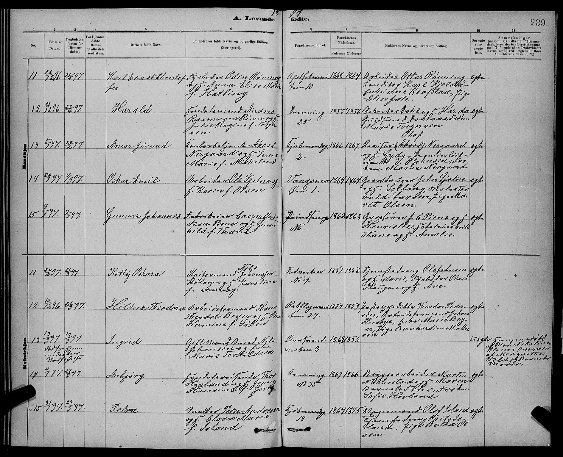 Ministerialprotokoller, klokkerbøker og fødselsregistre - Sør-Trøndelag, AV/SAT-A-1456/601/L0092: Parish register (copy) no. 601C10, 1884-1897, p. 239