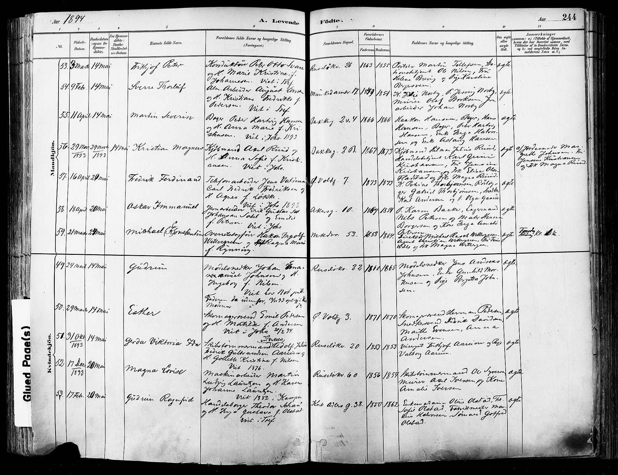 Johannes prestekontor Kirkebøker, SAO/A-10852/F/Fa/L0003: Parish register (official) no. 3, 1882-1896, p. 244