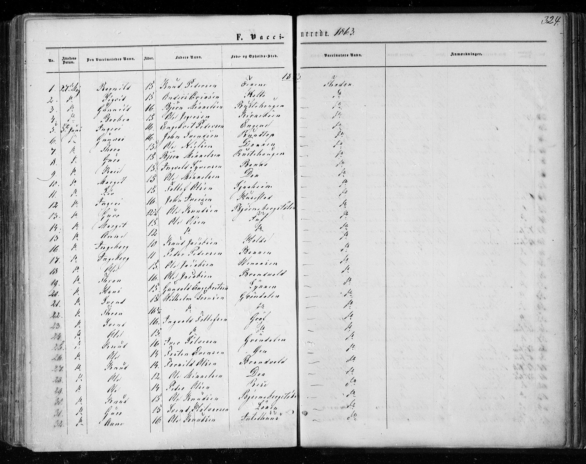 Gol kirkebøker, SAKO/A-226/F/Fa/L0003: Parish register (official) no. I 3, 1863-1875, p. 324