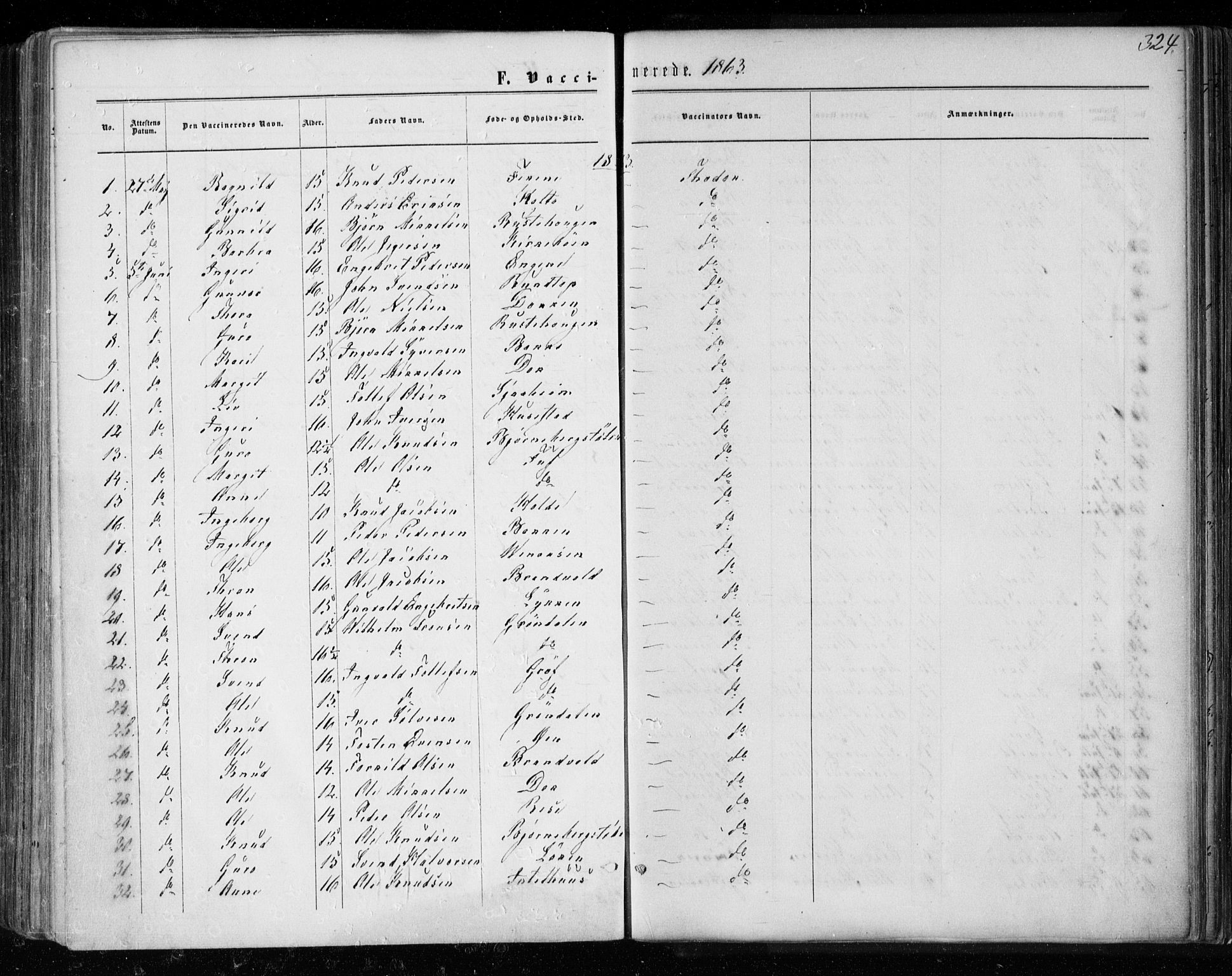 Gol kirkebøker, AV/SAKO-A-226/F/Fa/L0003: Parish register (official) no. I 3, 1863-1875, p. 324