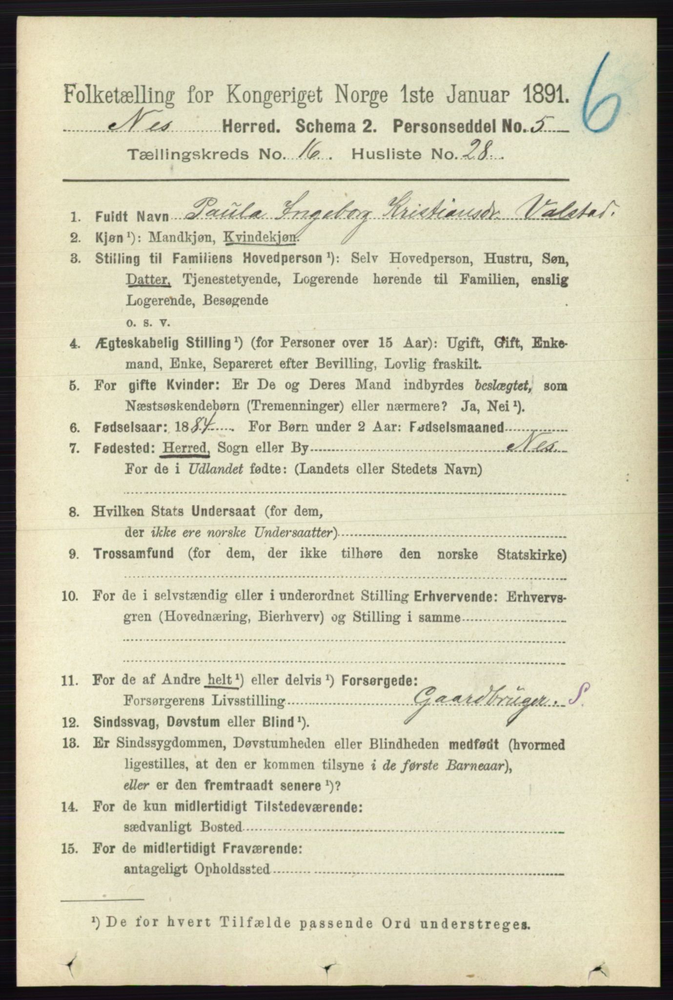 RA, 1891 census for 0236 Nes, 1891, p. 9725
