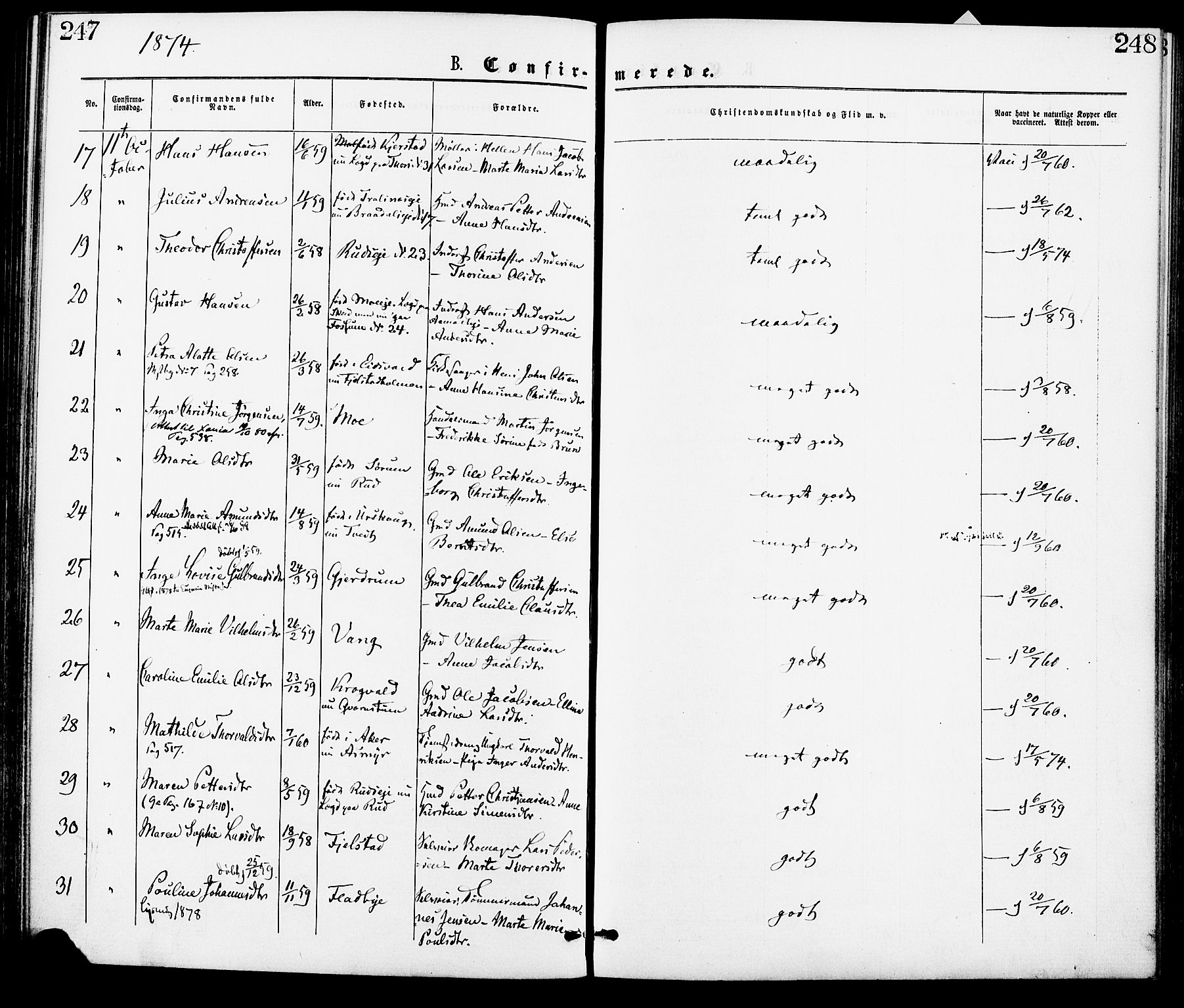 Gjerdrum prestekontor Kirkebøker, AV/SAO-A-10412b/F/Fa/L0008: Parish register (official) no. I 8, 1867-1880, p. 247-248