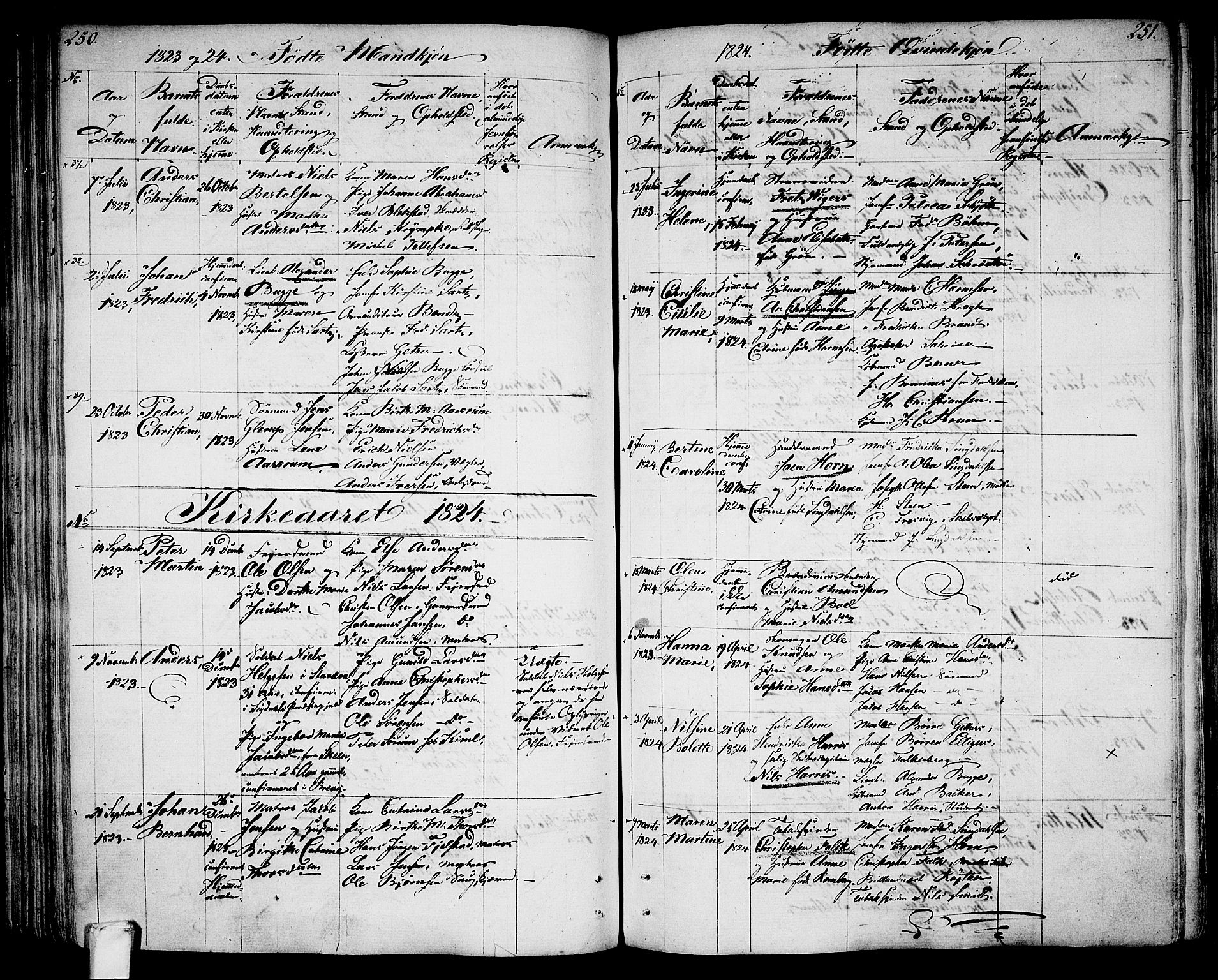 Larvik kirkebøker, AV/SAKO-A-352/G/Ga/L0002: Parish register (copy) no. I 2, 1807-1830, p. 250-251