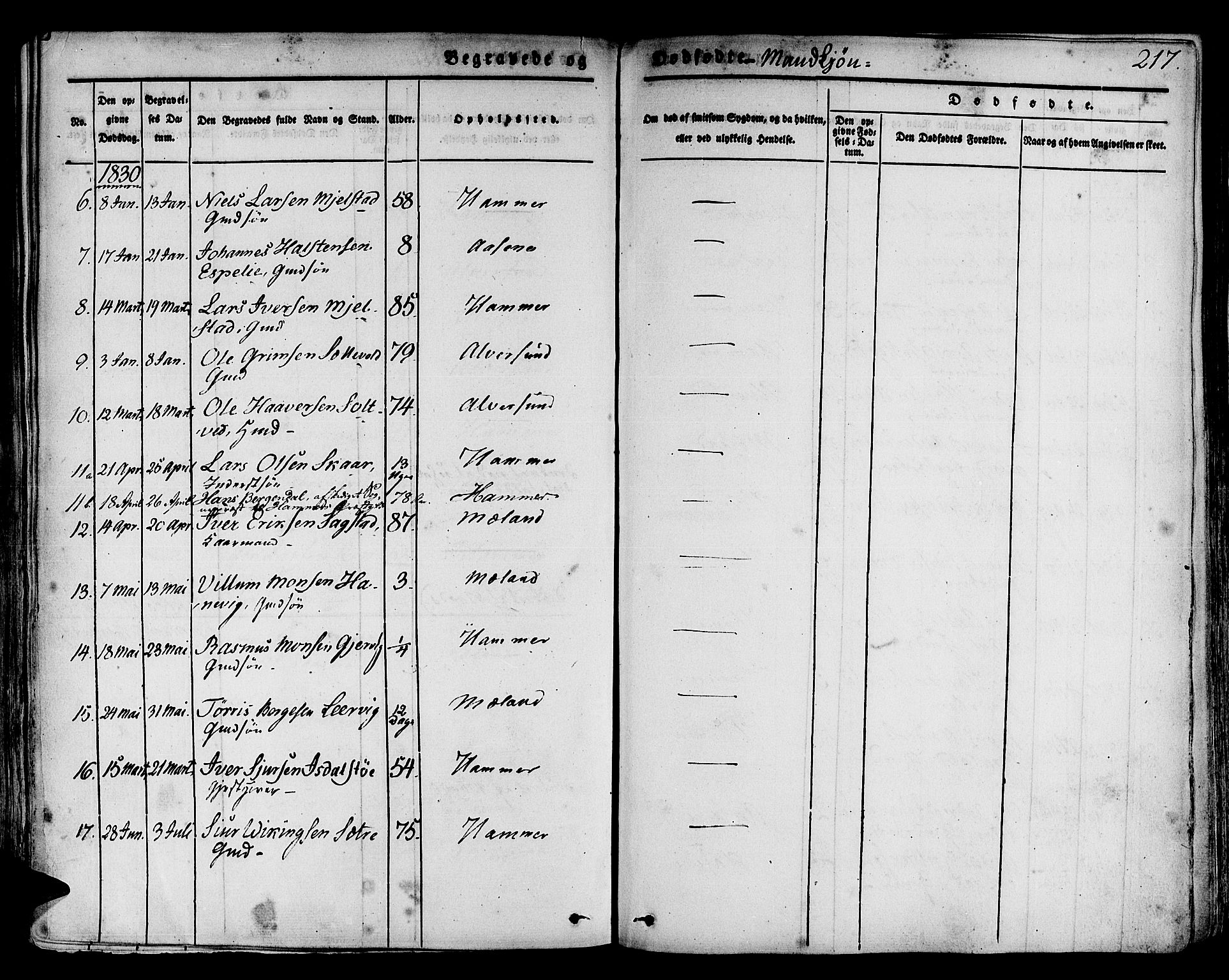 Hamre sokneprestembete, SAB/A-75501/H/Ha/Haa/Haaa/L0011: Parish register (official) no. A 11, 1826-1834, p. 217