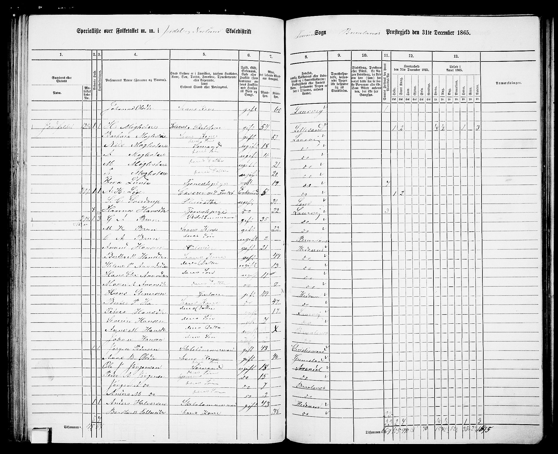 RA, 1865 census for Brunlanes, 1865, p. 91