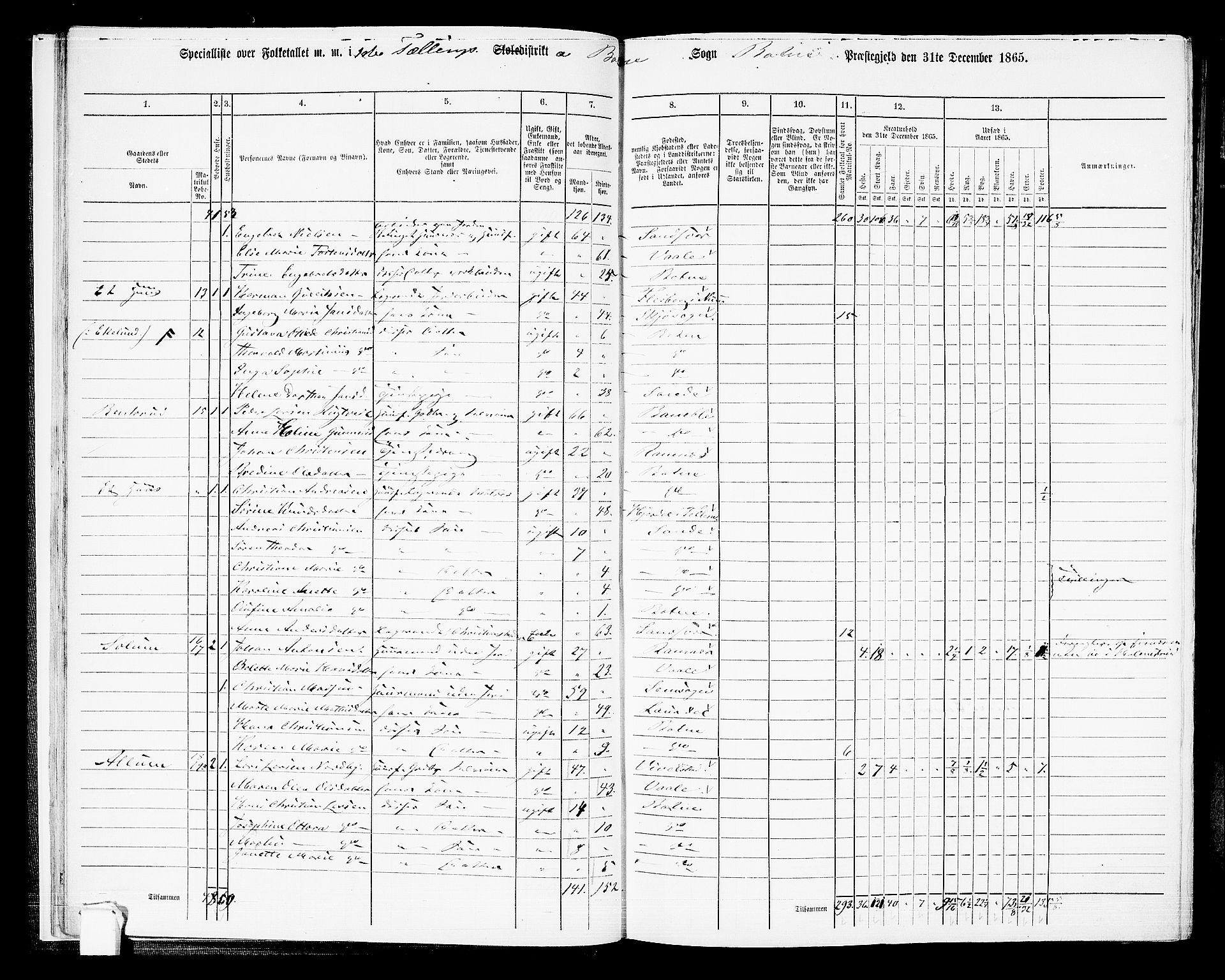 RA, 1865 census for Botne/Botne og Hillestad, 1865, p. 20