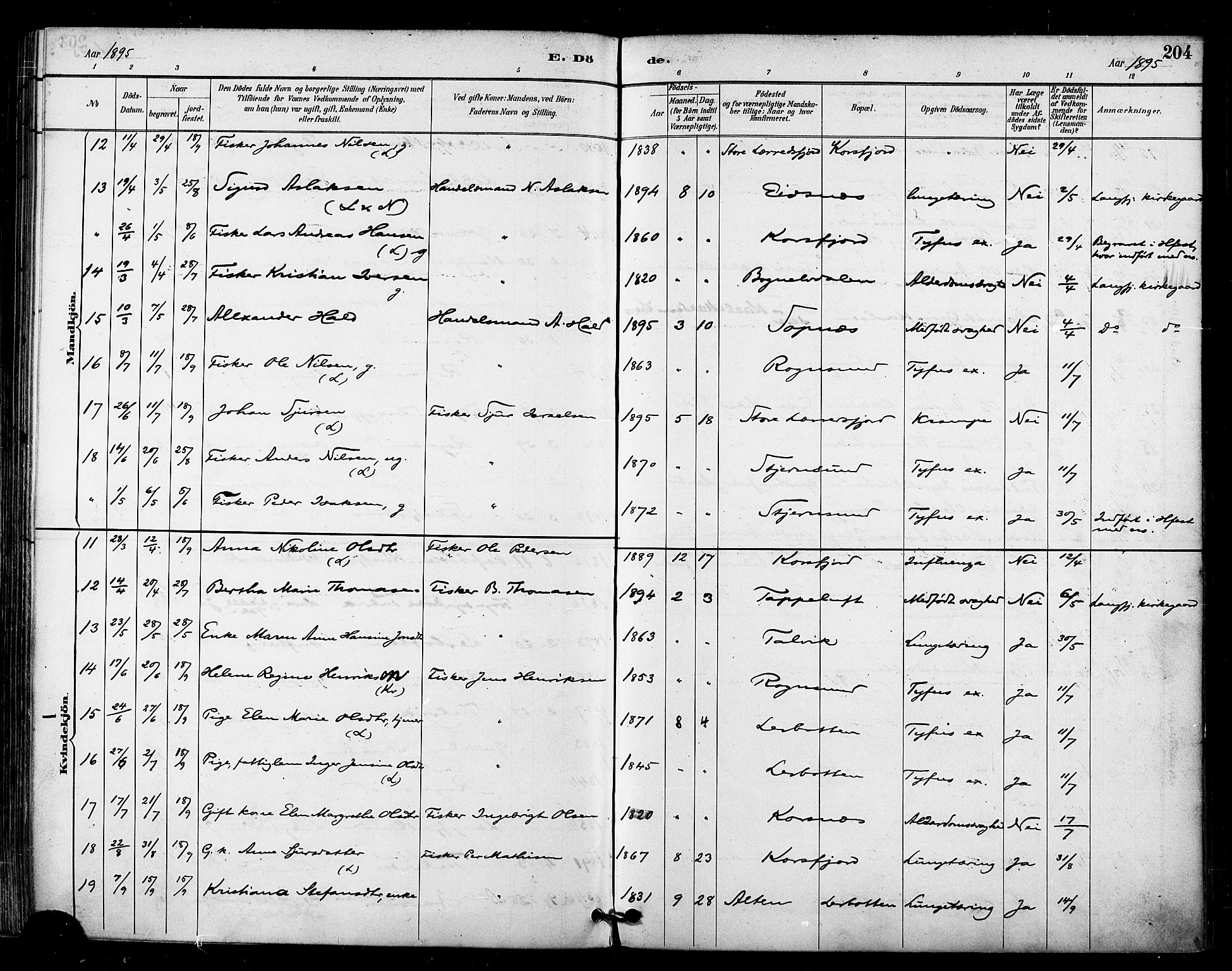 Talvik sokneprestkontor, AV/SATØ-S-1337/H/Ha/L0013kirke: Parish register (official) no. 13, 1886-1897, p. 204