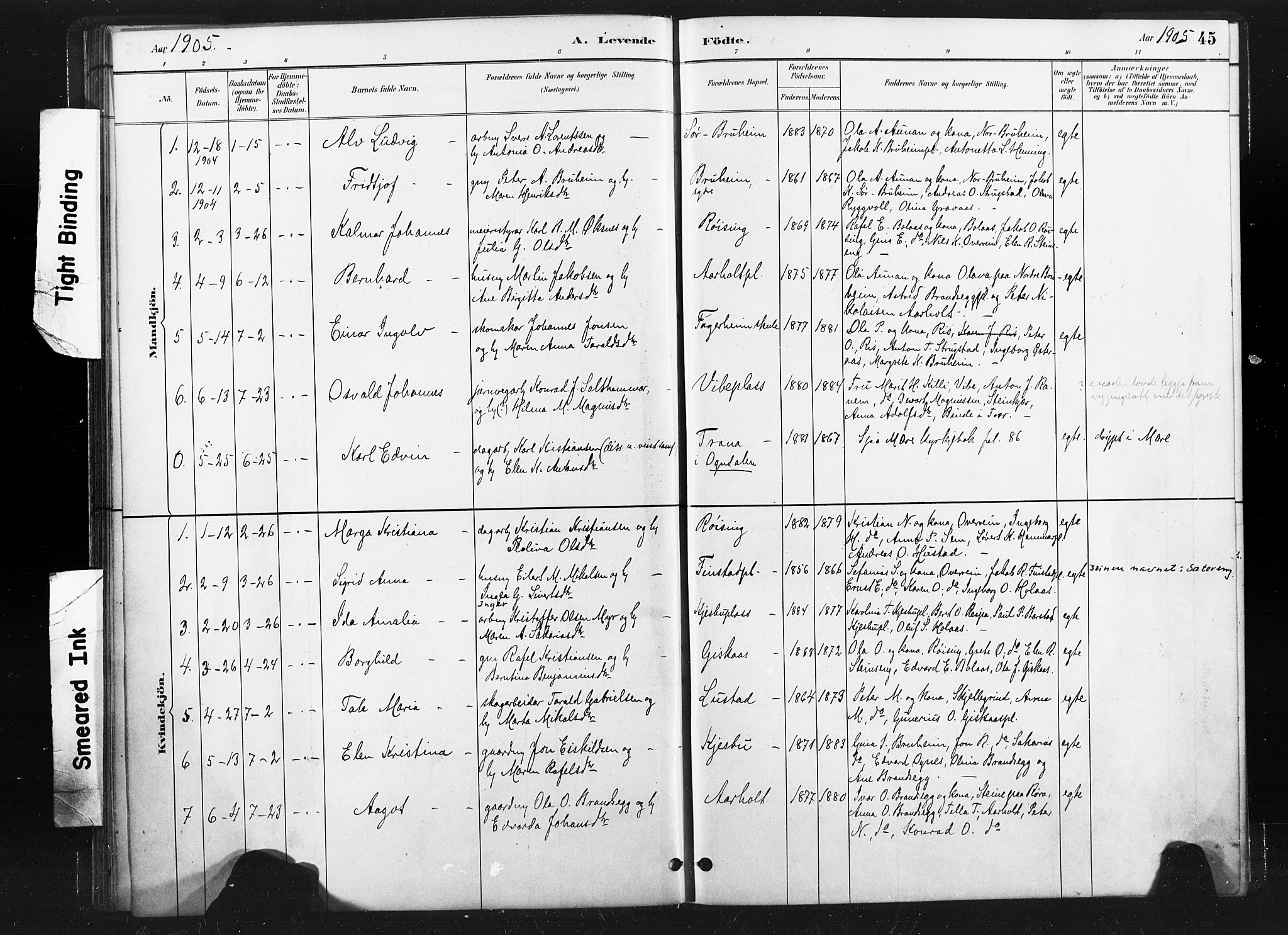 Ministerialprotokoller, klokkerbøker og fødselsregistre - Nord-Trøndelag, SAT/A-1458/736/L0361: Parish register (official) no. 736A01, 1884-1906, p. 45