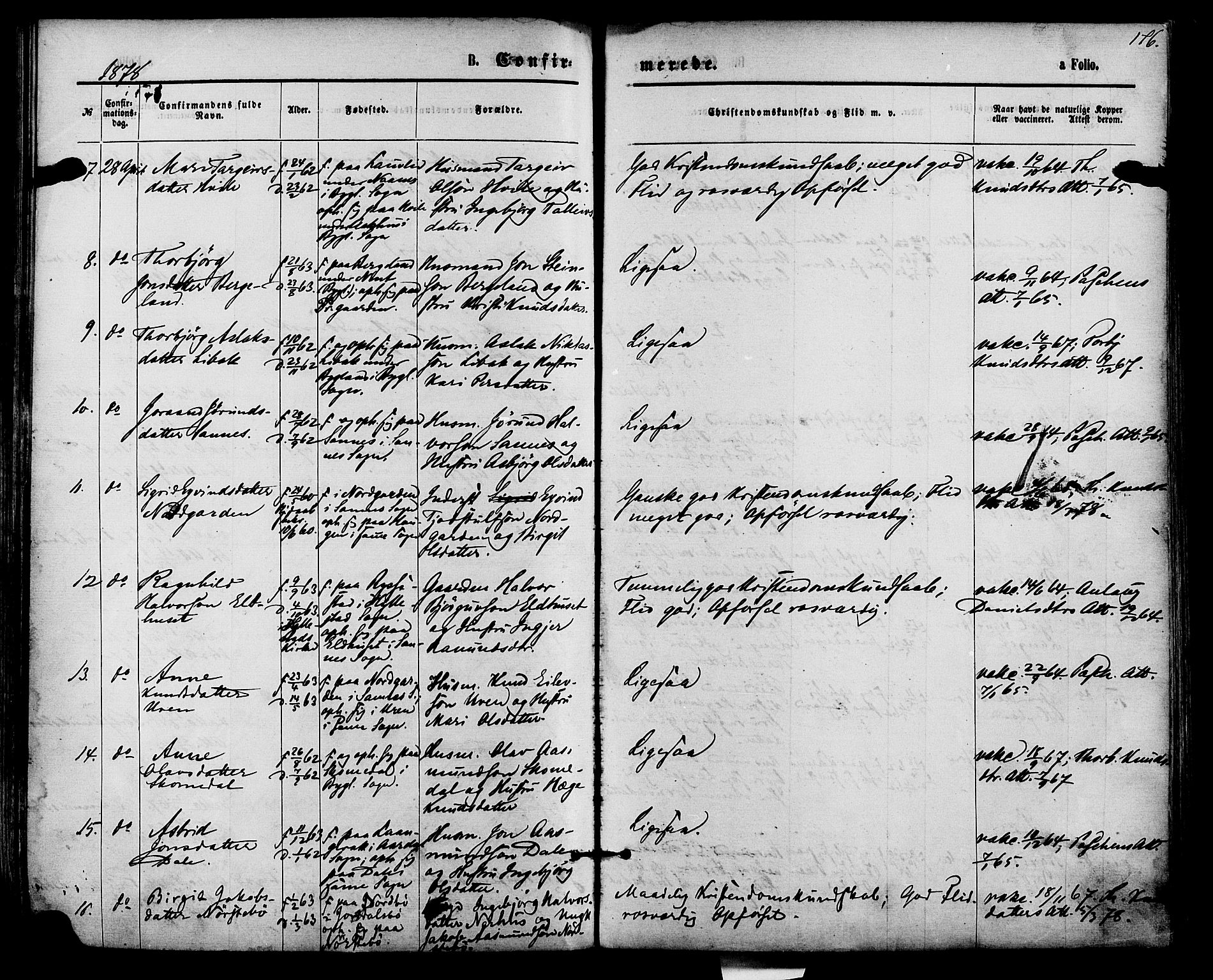 Bygland sokneprestkontor, AV/SAK-1111-0006/F/Fa/Fab/L0006: Parish register (official) no. A 6, 1873-1884, p. 176