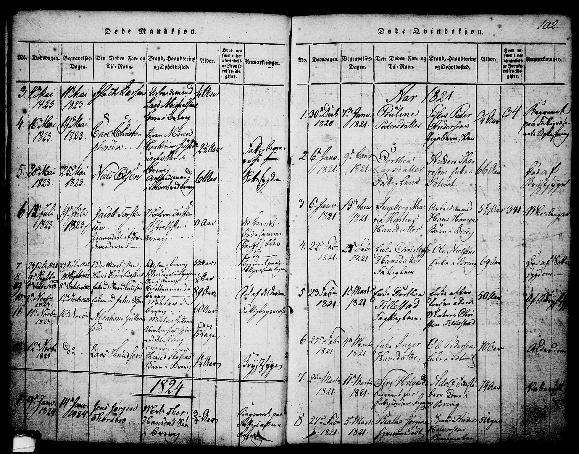 Brevik kirkebøker, SAKO/A-255/G/Ga/L0001: Parish register (copy) no. 1, 1814-1845, p. 102