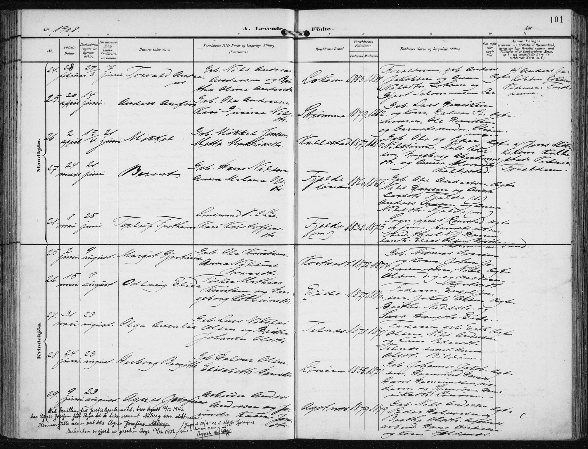 Fjell sokneprestembete, SAB/A-75301/H/Haa: Parish register (official) no. A  9, 1899-1910, p. 101