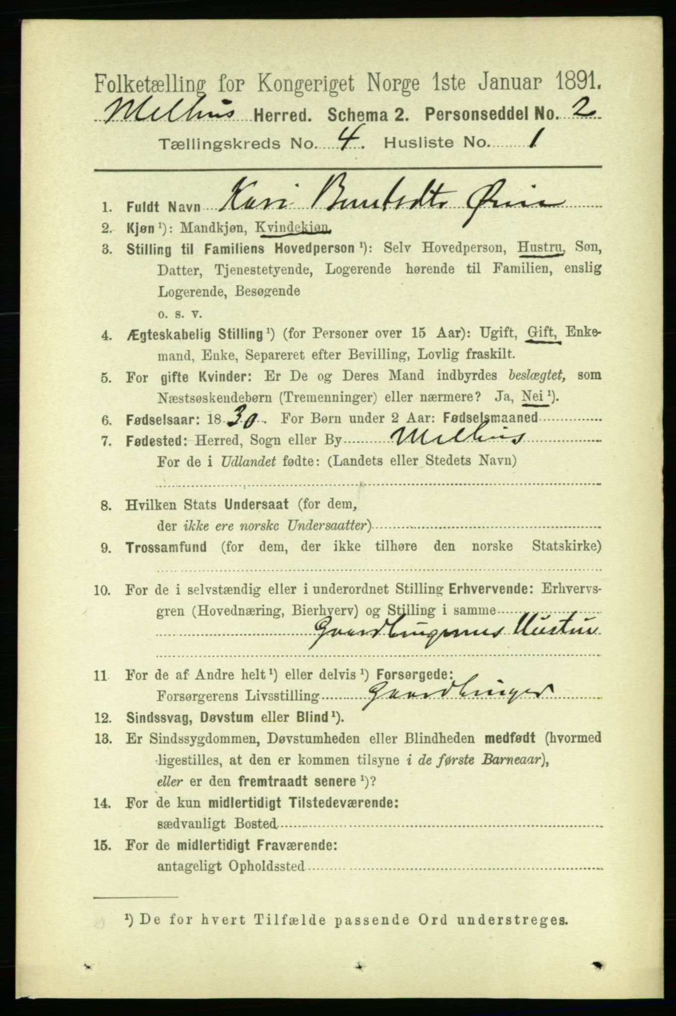 RA, 1891 census for 1653 Melhus, 1891, p. 1978