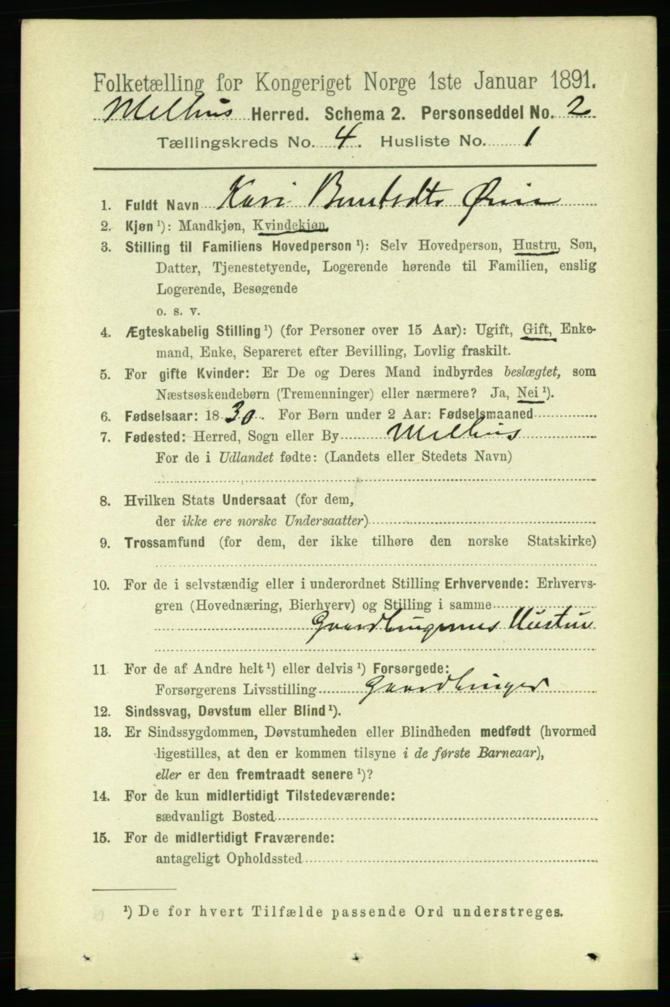 RA, 1891 census for 1653 Melhus, 1891, p. 1978