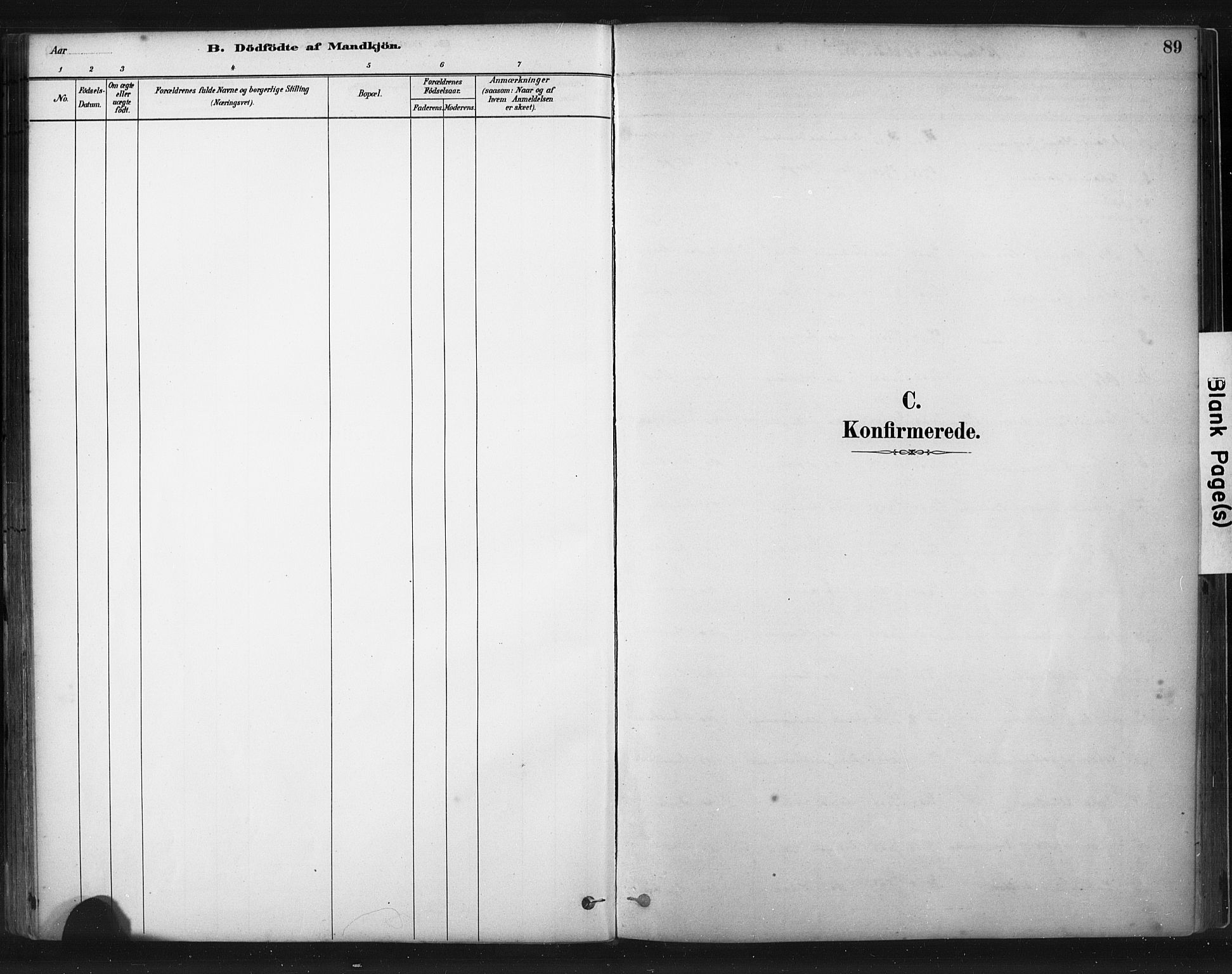 Skudenes sokneprestkontor, SAST/A -101849/H/Ha/Haa/L0010: Parish register (official) no. A 7, 1882-1912, p. 89
