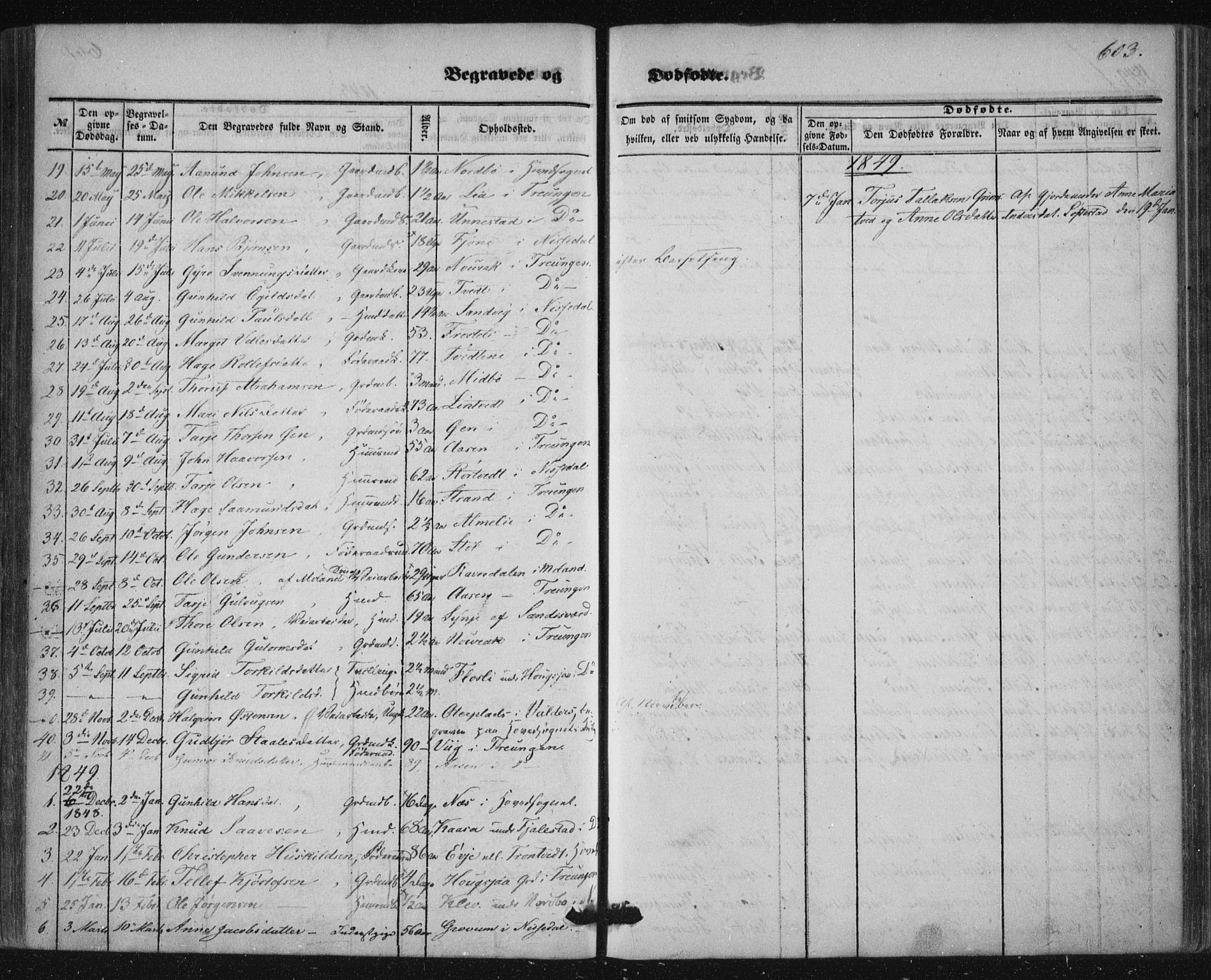 Nissedal kirkebøker, AV/SAKO-A-288/F/Fa/L0003: Parish register (official) no. I 3, 1846-1870, p. 602-603