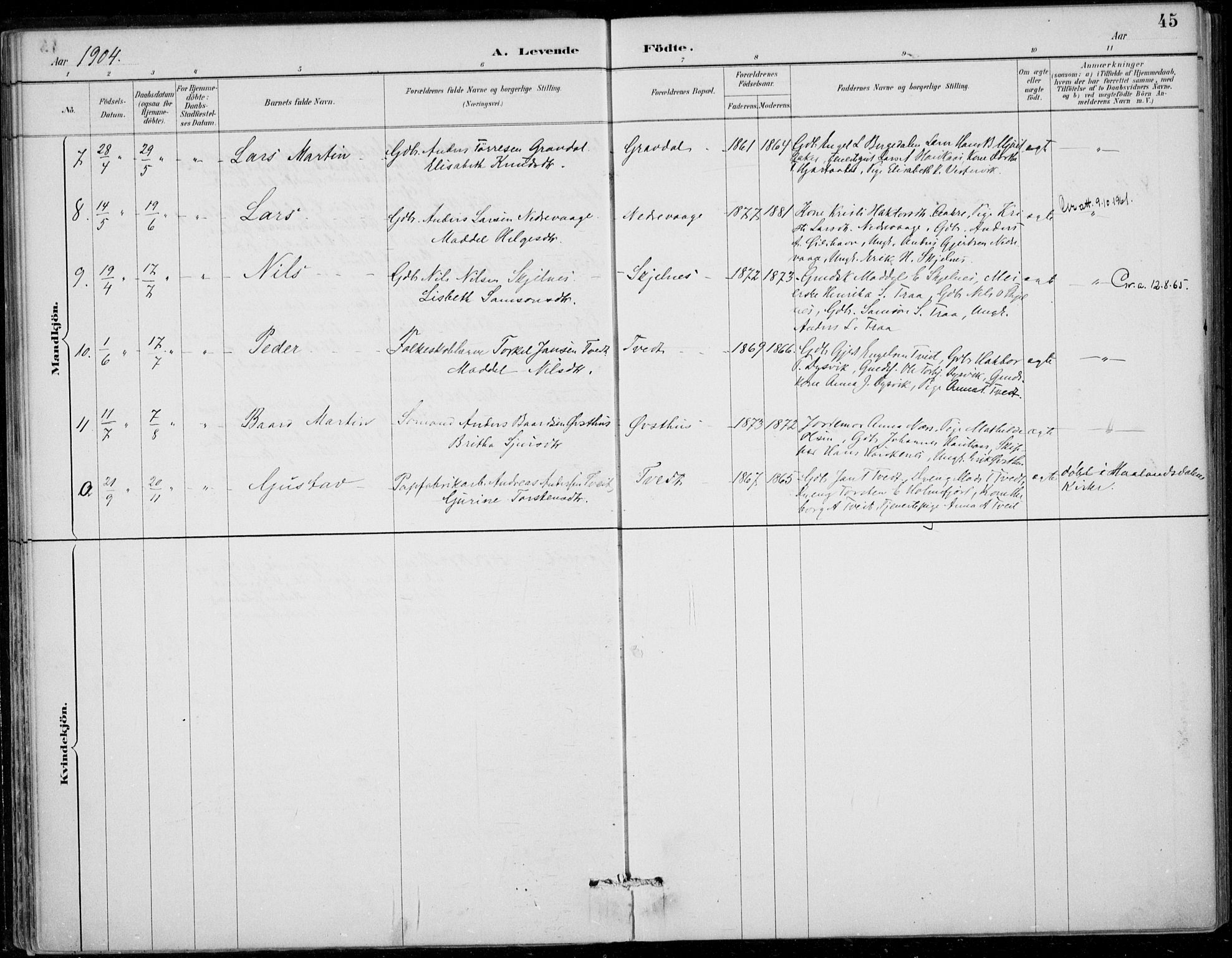 Strandebarm sokneprestembete, SAB/A-78401/H/Haa: Parish register (official) no. D  1, 1886-1912, p. 45