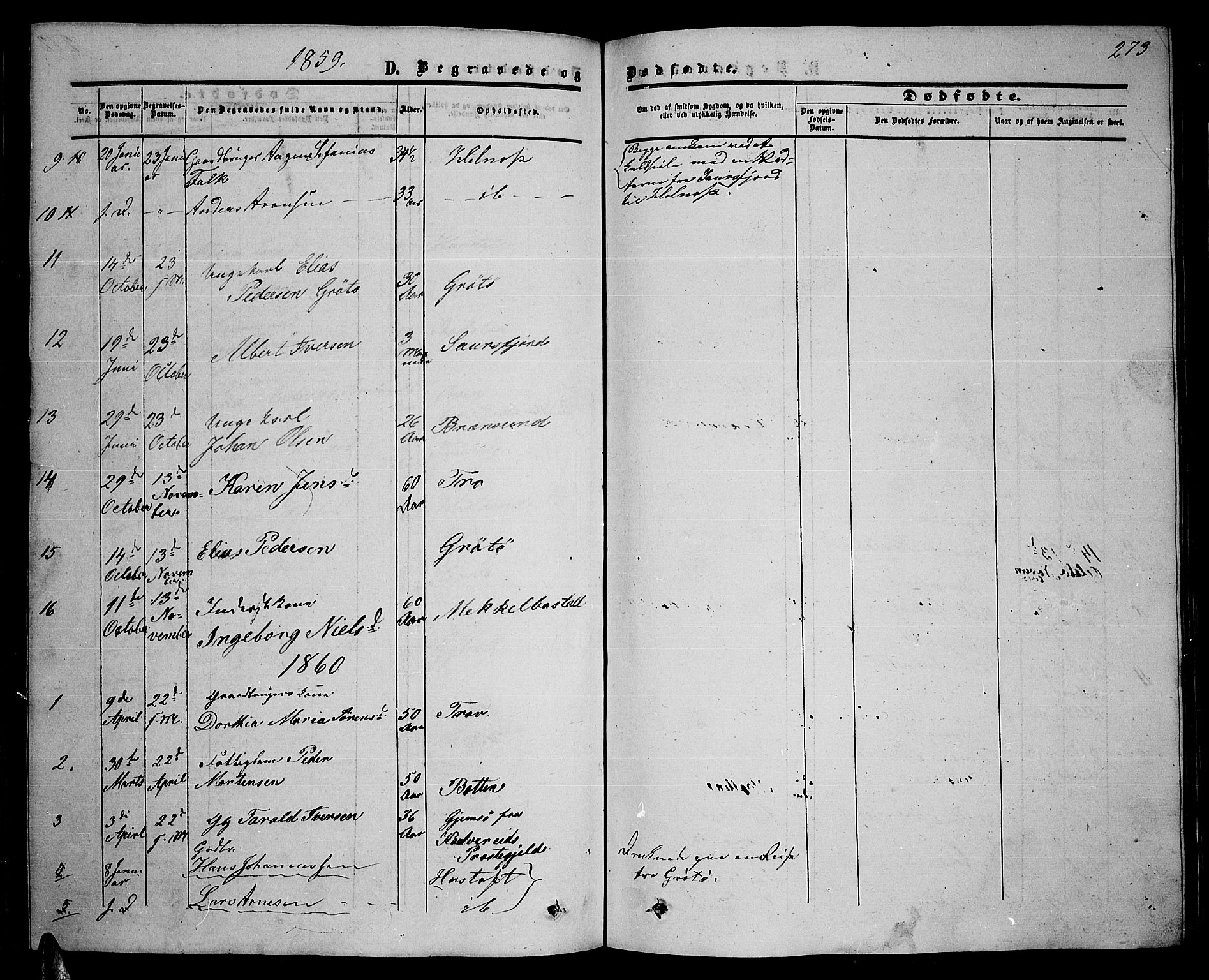 Ministerialprotokoller, klokkerbøker og fødselsregistre - Nordland, AV/SAT-A-1459/857/L0827: Parish register (copy) no. 857C02, 1852-1879, p. 273