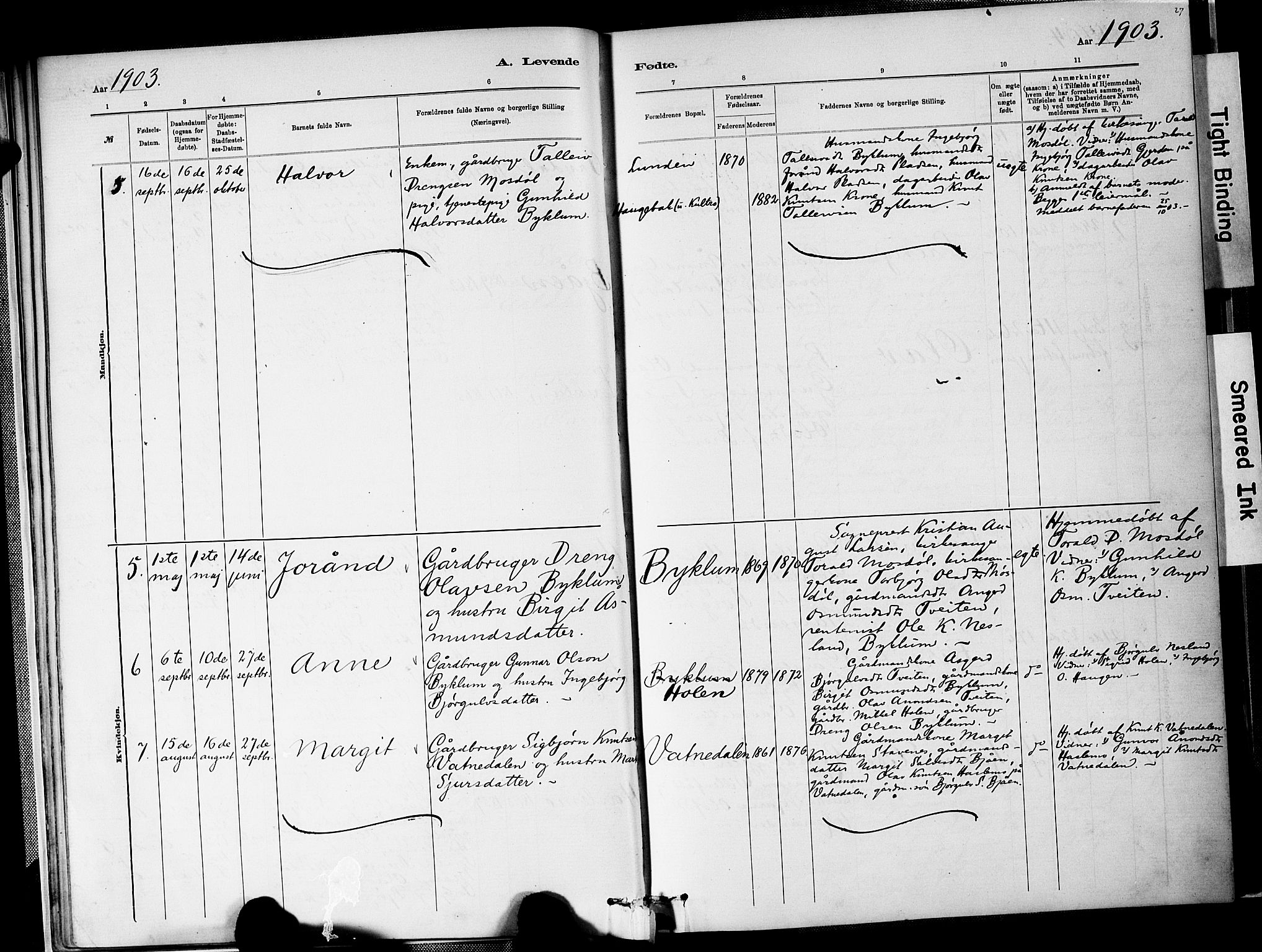 Valle sokneprestkontor, AV/SAK-1111-0044/F/Fa/Faa/L0001: Parish register (official) no. A 1, 1882-1907, p. 27