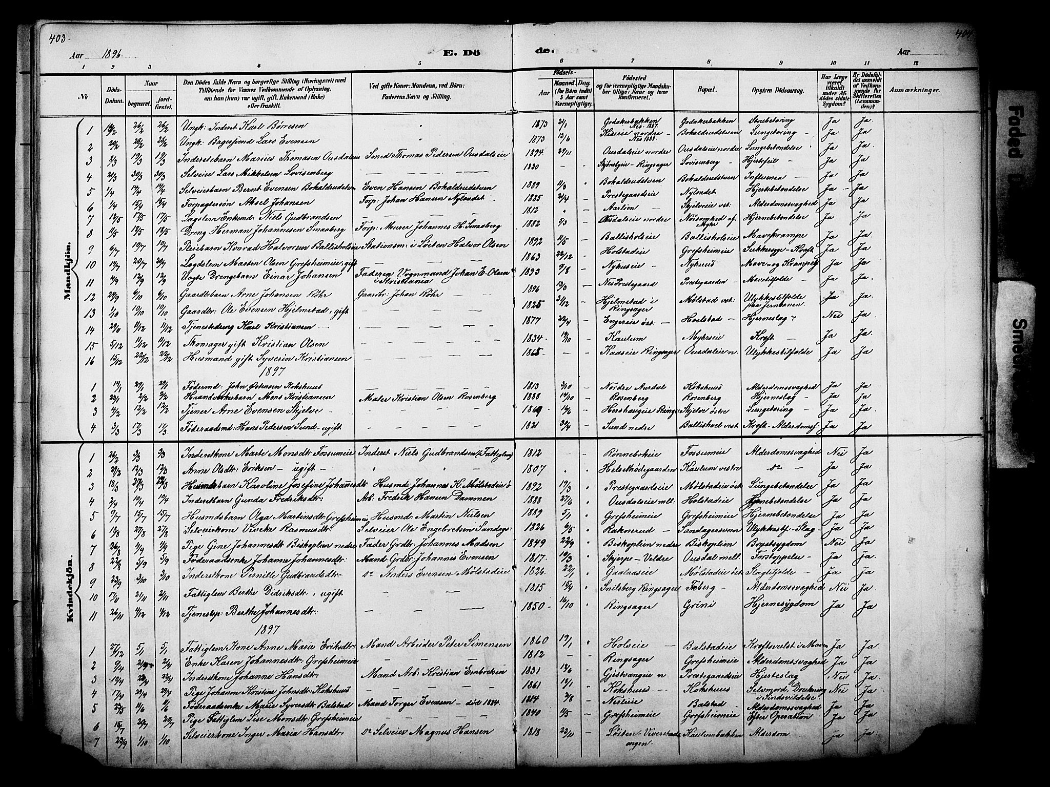 Nes prestekontor, Hedmark, AV/SAH-PREST-020/L/La/L0006: Parish register (copy) no. 6, 1890-1932, p. 403-404