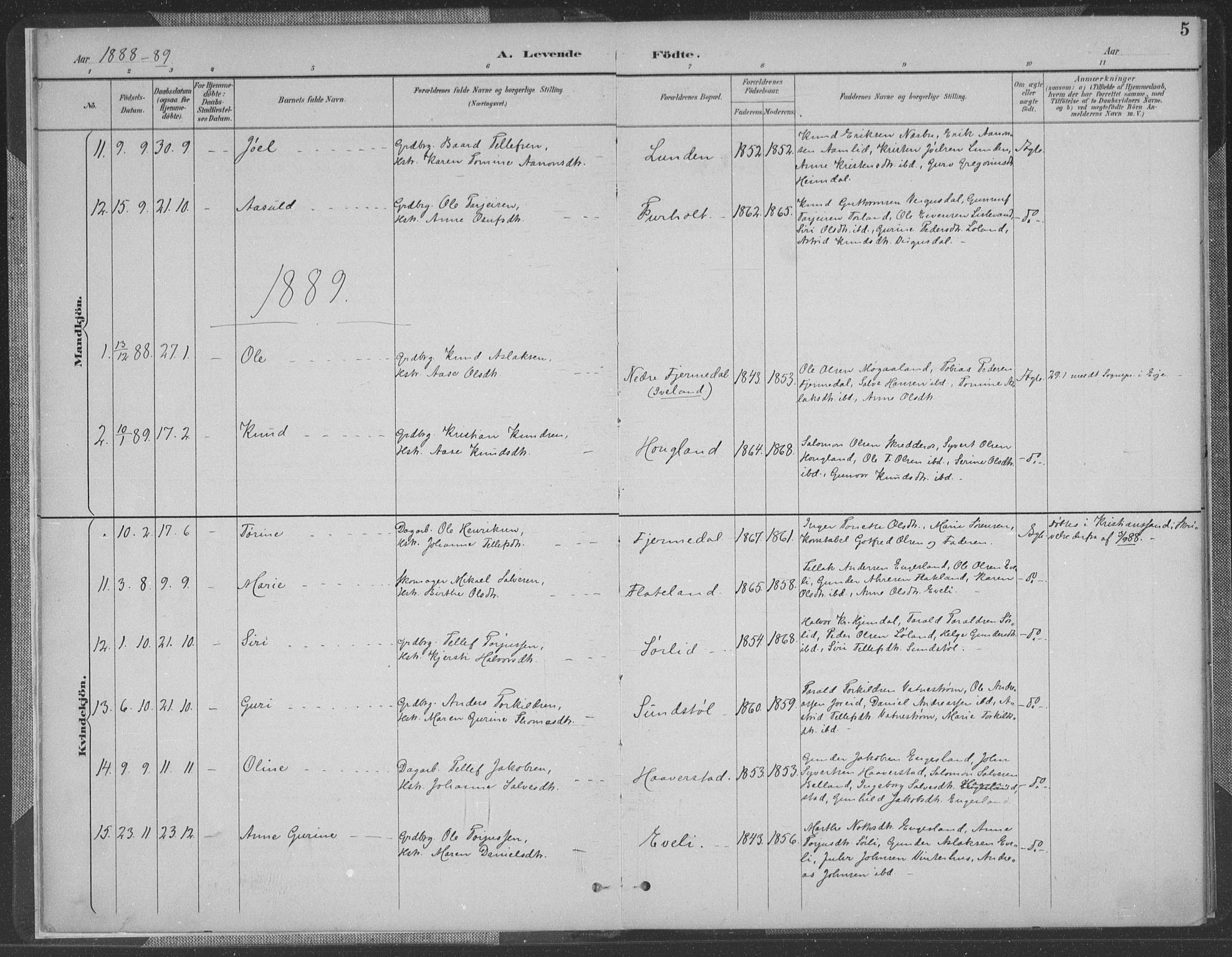 Herefoss sokneprestkontor, AV/SAK-1111-0019/F/Fa/Fab/L0004: Parish register (official) no. A 4, 1887-1909, p. 5