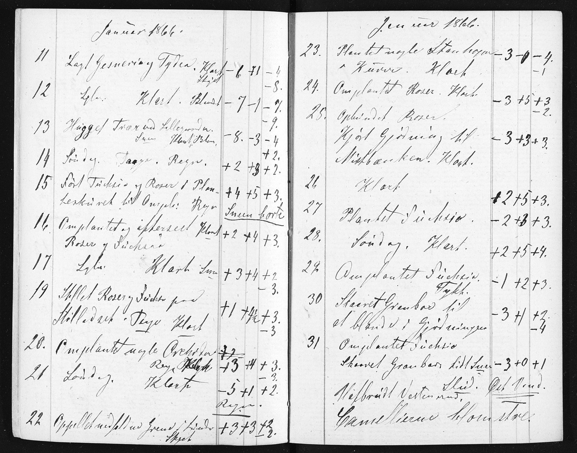 Familien Aalls privatarkiv , NESJ/NJM-005/E-00003/L0001/0003/0006: Dag- og notatbøker / Dølner dagbokpakke 001, 1865-1866