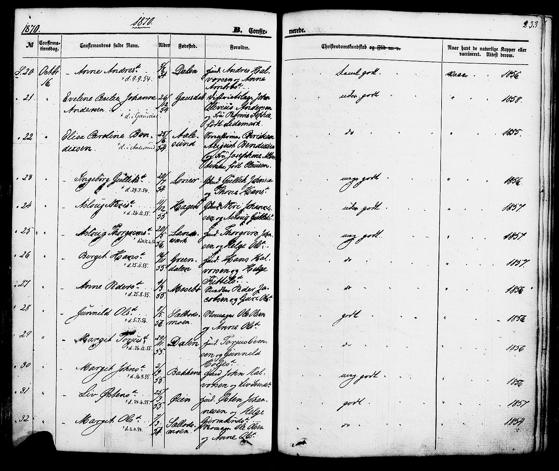 Hjartdal kirkebøker, AV/SAKO-A-270/F/Fa/L0009: Parish register (official) no. I 9, 1860-1879, p. 233