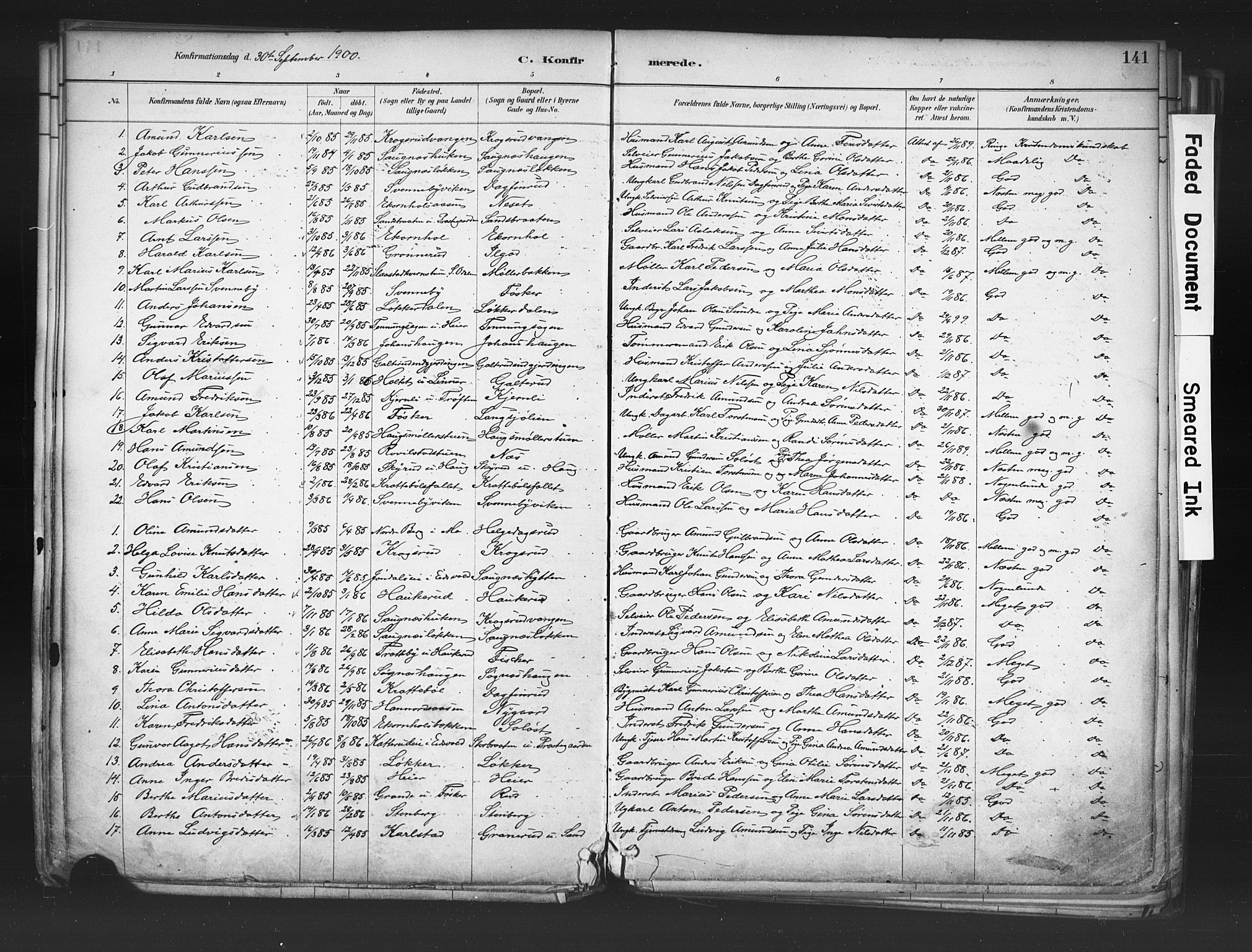 Nord-Odal prestekontor, SAH/PREST-032/H/Ha/Haa/L0006: Parish register (official) no. 6, 1886-1901, p. 141