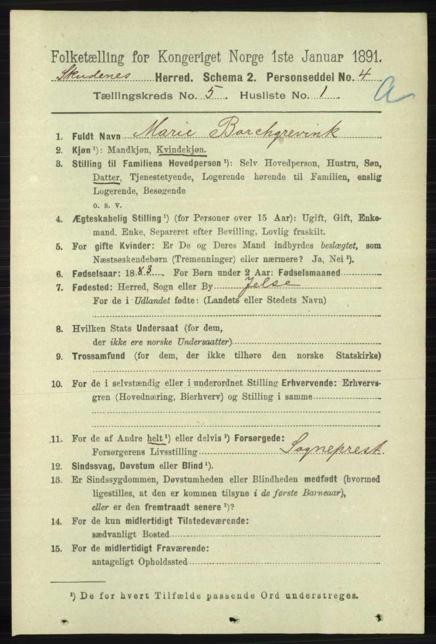 RA, 1891 census for 1150 Skudenes, 1891, p. 2528