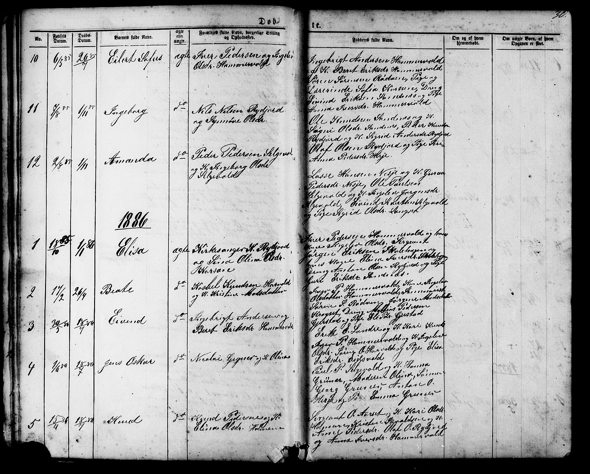 Ministerialprotokoller, klokkerbøker og fødselsregistre - Møre og Romsdal, SAT/A-1454/548/L0614: Parish register (copy) no. 548C02, 1867-1917, p. 30