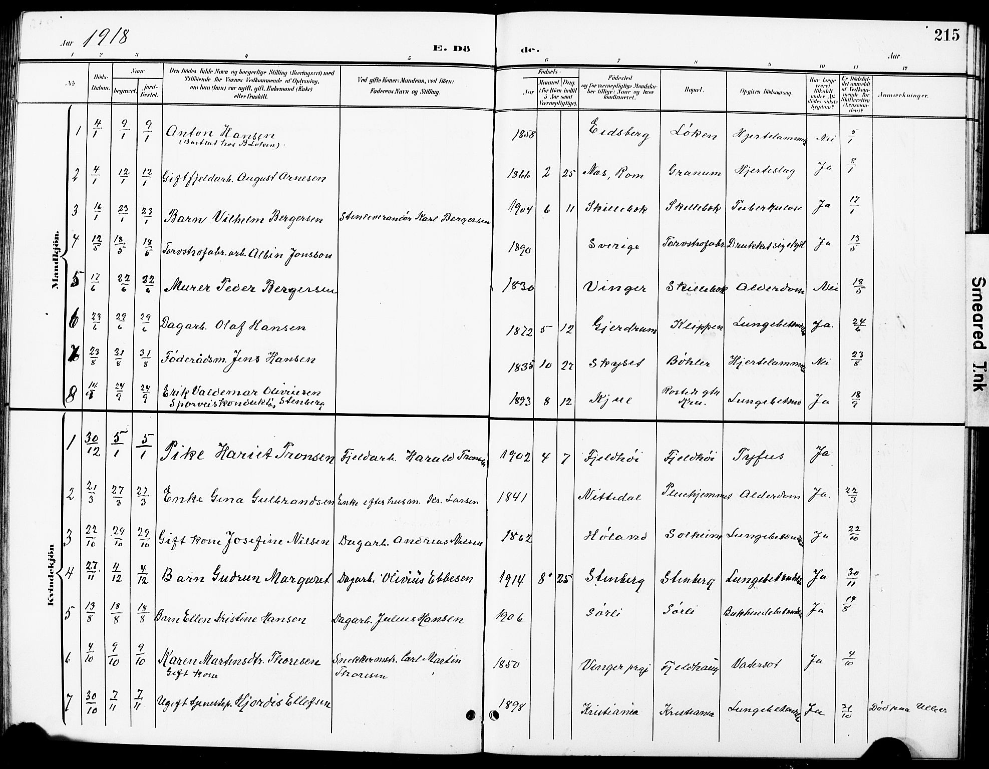 Nittedal prestekontor Kirkebøker, SAO/A-10365a/G/Ga/L0003: Parish register (copy) no. I 3, 1902-1929, p. 215