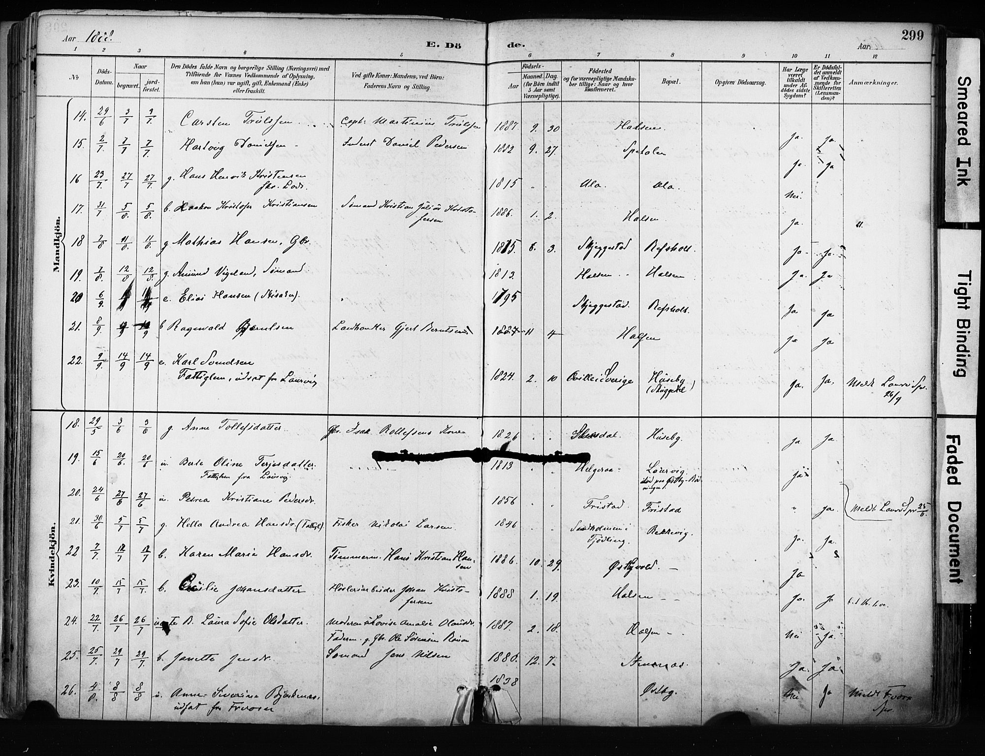 Tjølling kirkebøker, AV/SAKO-A-60/F/Fa/L0009: Parish register (official) no. 9, 1887-1905, p. 299