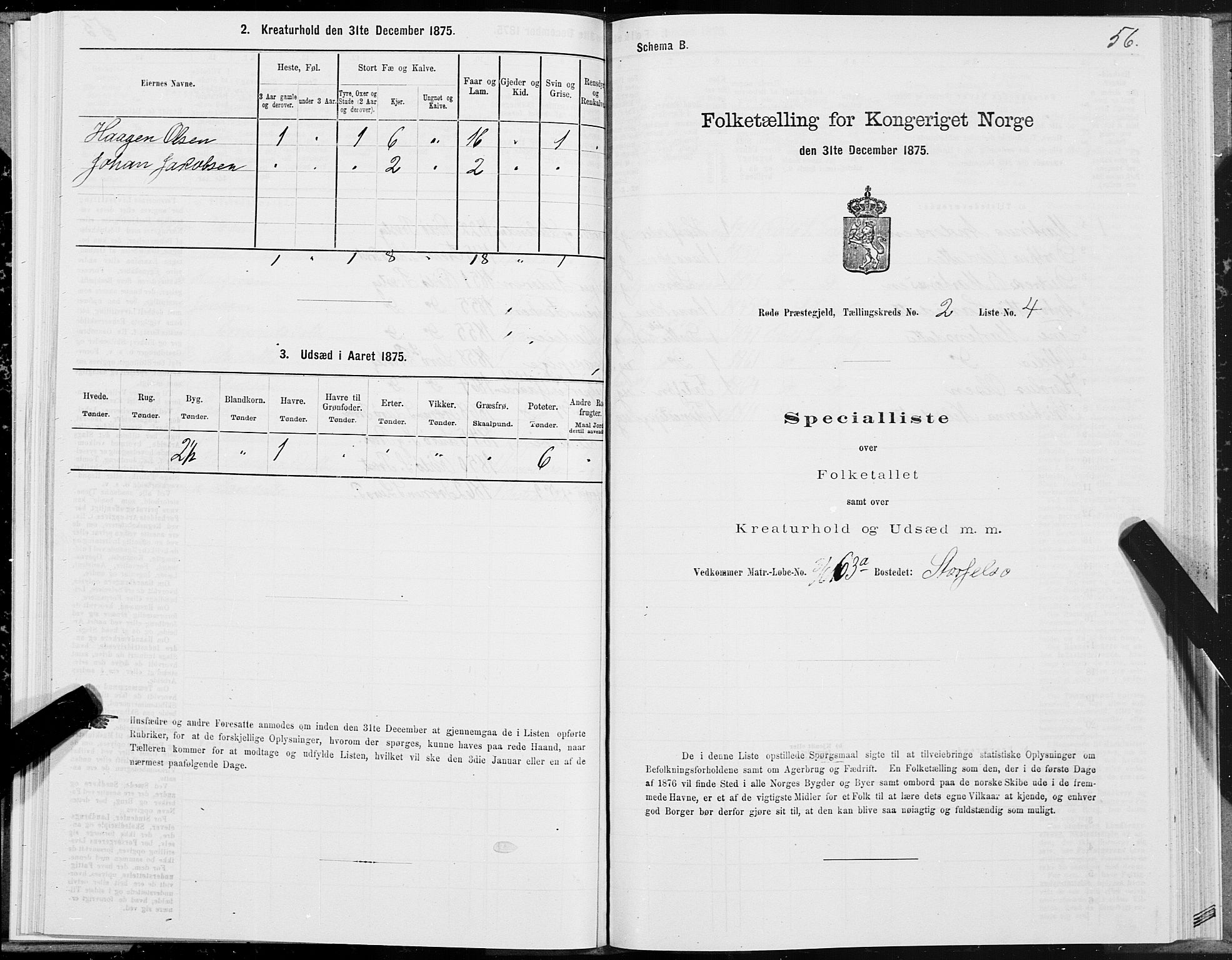 SAT, 1875 census for 1836P Rødøy, 1875, p. 1056