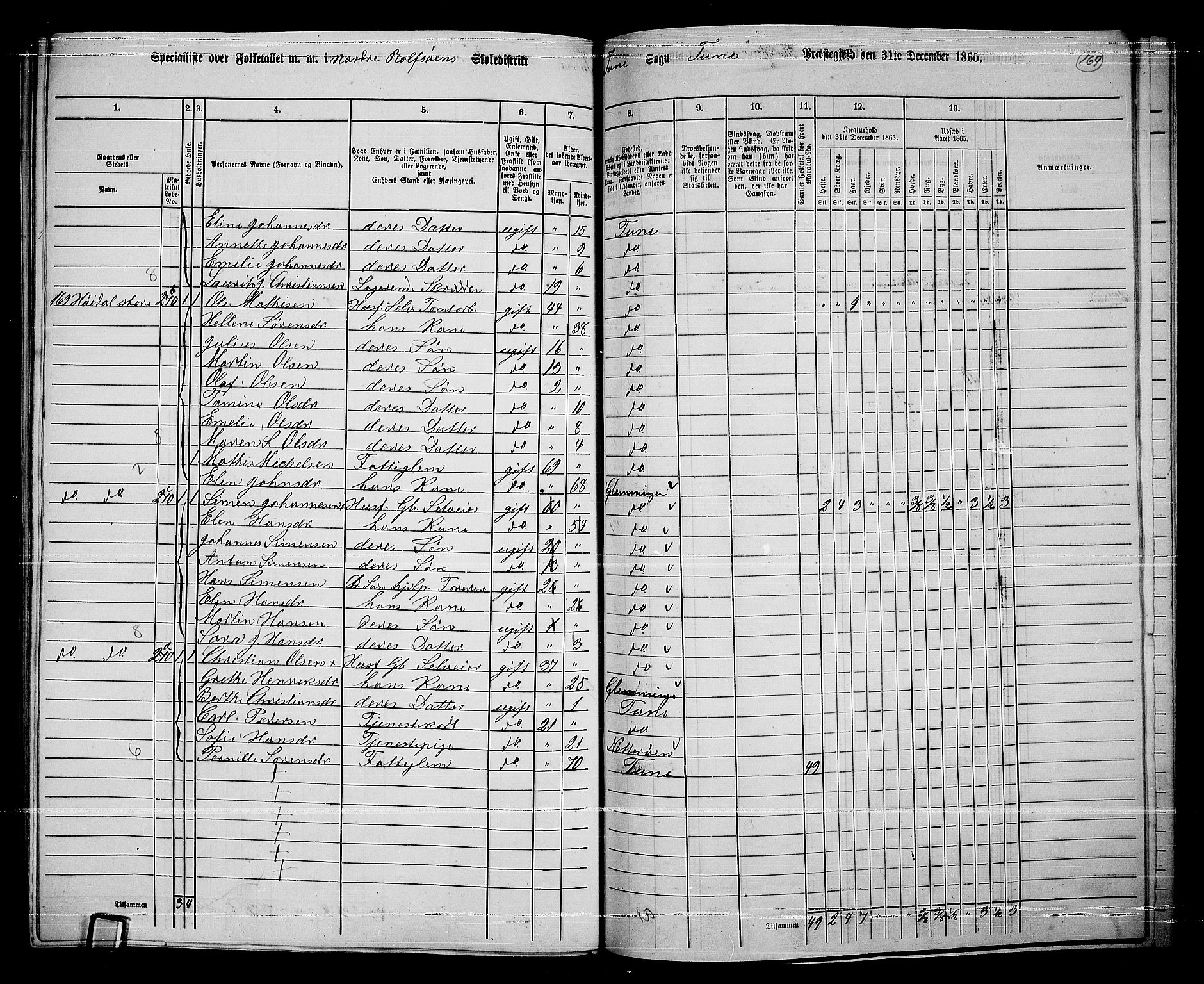 RA, 1865 census for Tune, 1865, p. 248