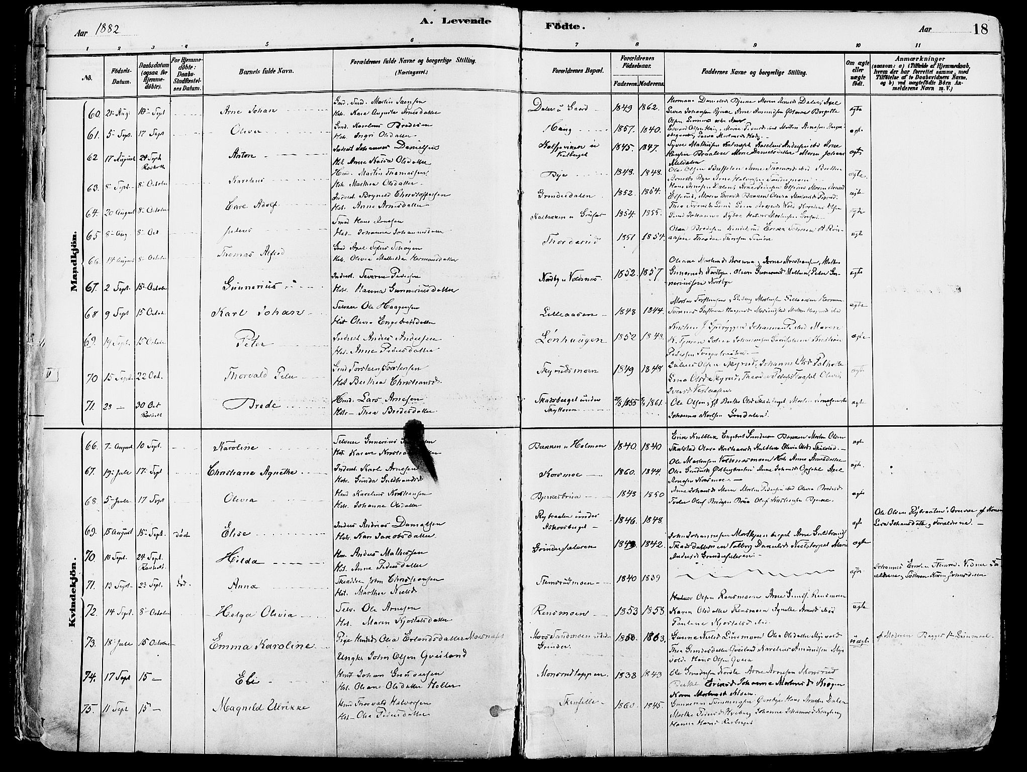 Grue prestekontor, SAH/PREST-036/H/Ha/Haa/L0012: Parish register (official) no. 12, 1881-1897, p. 18