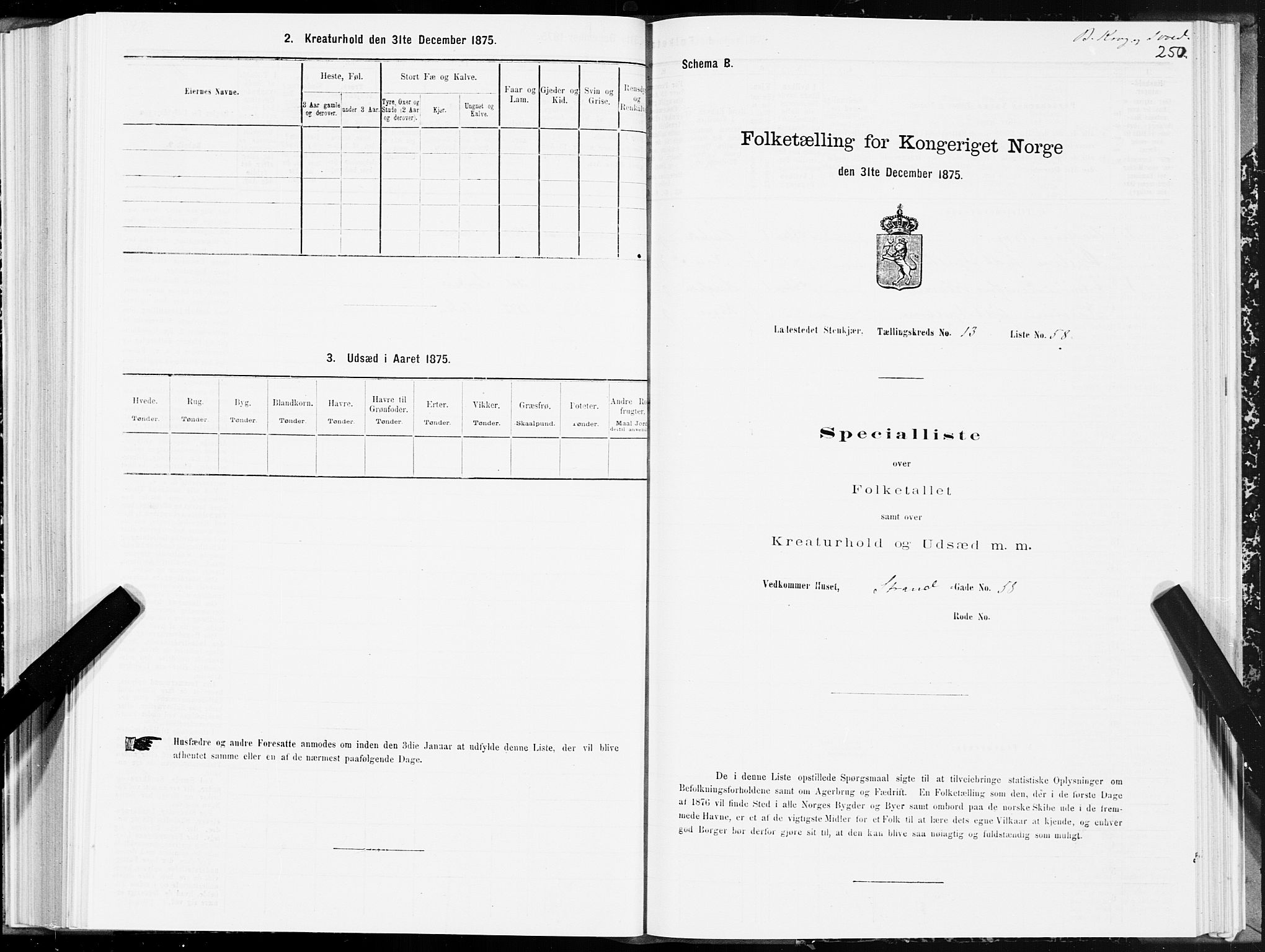 SAT, 1875 census for 1702B Steinkjer/Steinkjer, 1875, p. 250