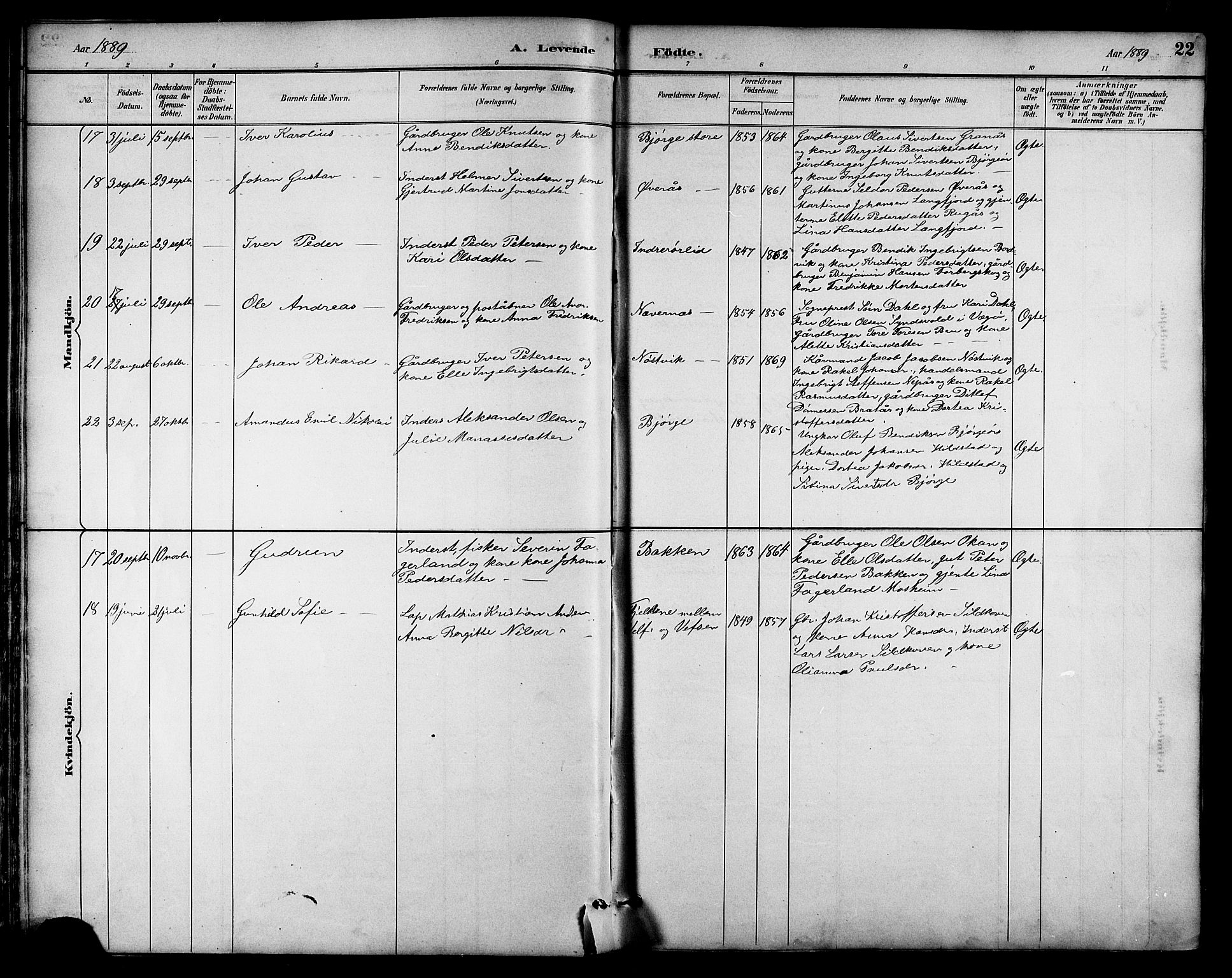 Ministerialprotokoller, klokkerbøker og fødselsregistre - Nordland, AV/SAT-A-1459/814/L0230: Parish register (copy) no. 814C03, 1884-1911, p. 22