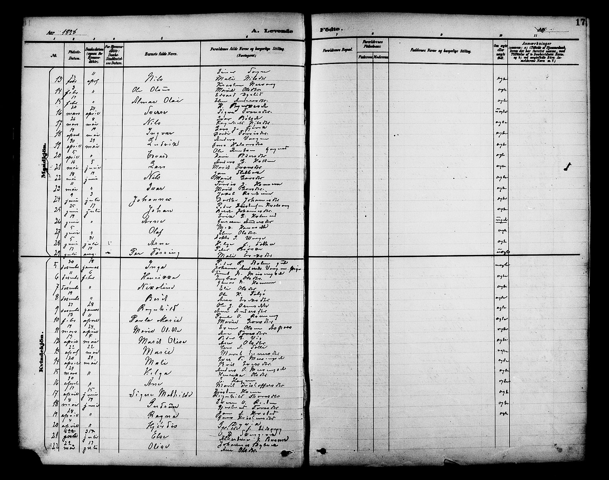 Ministerialprotokoller, klokkerbøker og fødselsregistre - Møre og Romsdal, AV/SAT-A-1454/586/L0992: Parish register (copy) no. 586C03, 1892-1909, p. 17