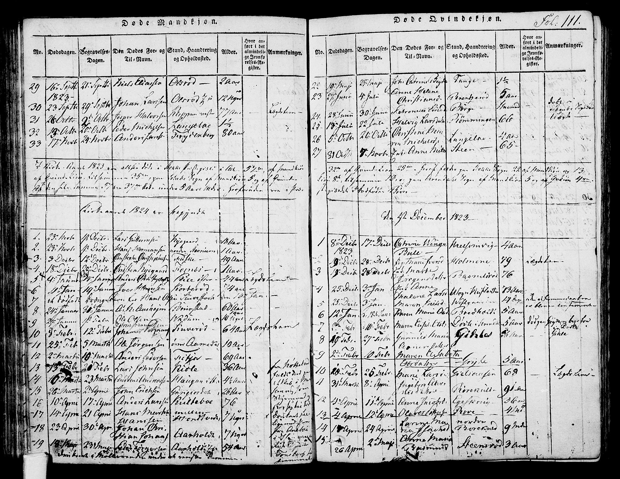 Stokke kirkebøker, AV/SAKO-A-320/F/Fa/L0005: Parish register (official) no. I 5, 1815-1826, p. 111