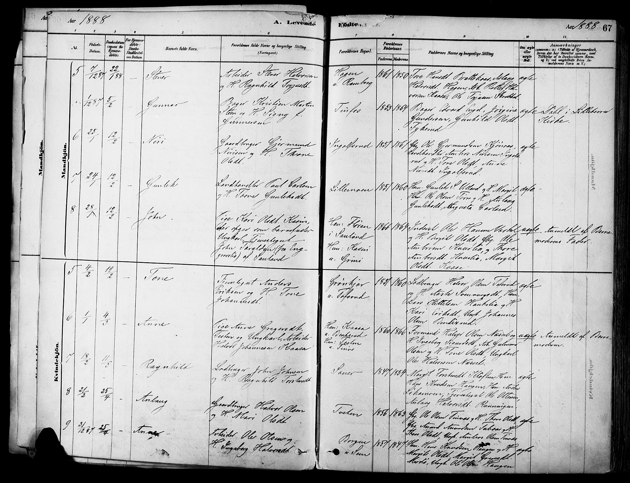 Heddal kirkebøker, SAKO/A-268/F/Fa/L0008: Parish register (official) no. I 8, 1878-1903, p. 67