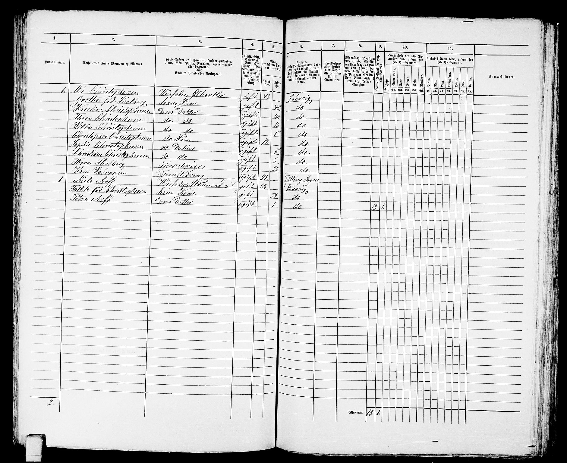 RA, 1865 census for Larvik, 1865, p. 342