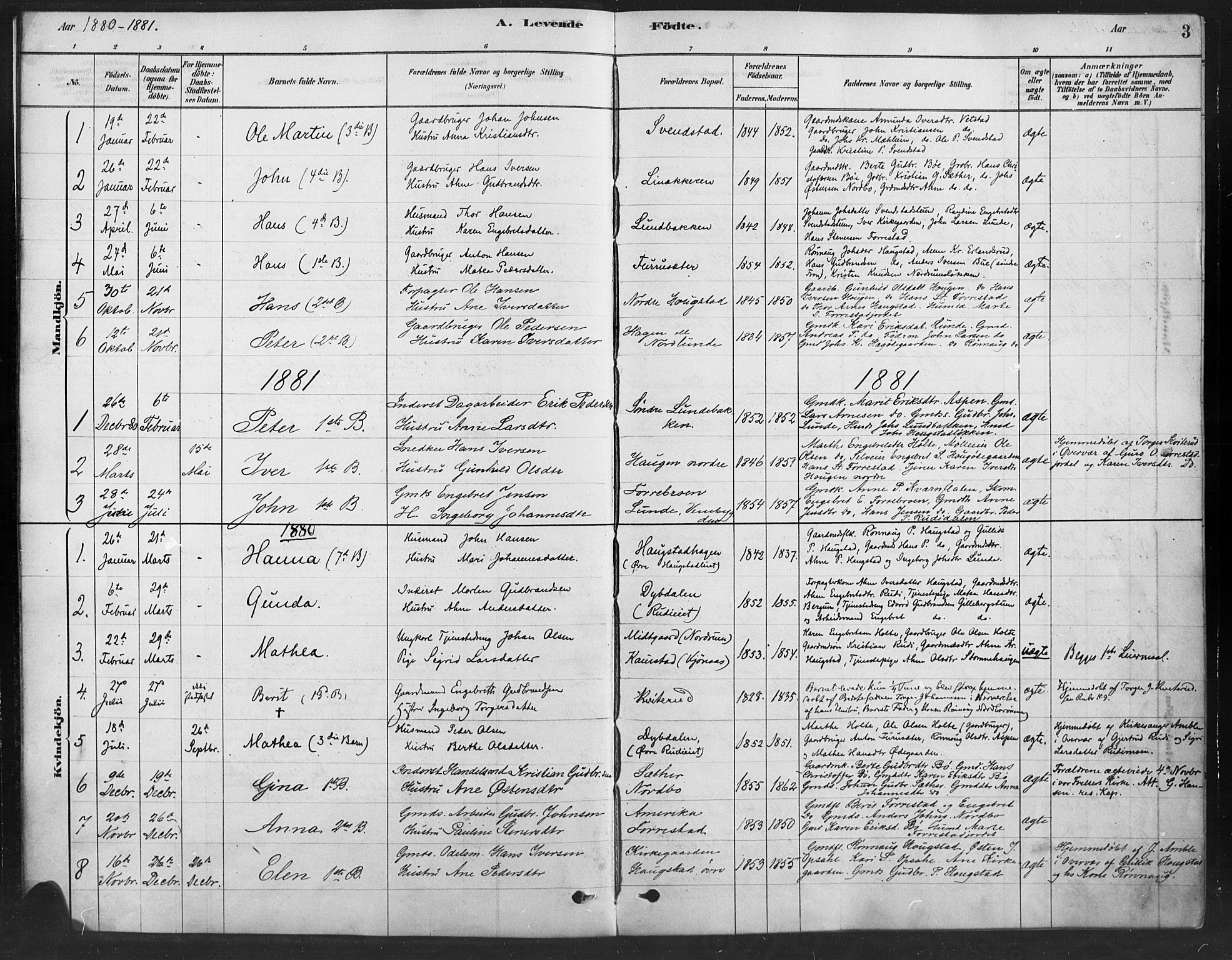 Ringebu prestekontor, SAH/PREST-082/H/Ha/Haa/L0010: Parish register (official) no. 10, 1878-1898, p. 3