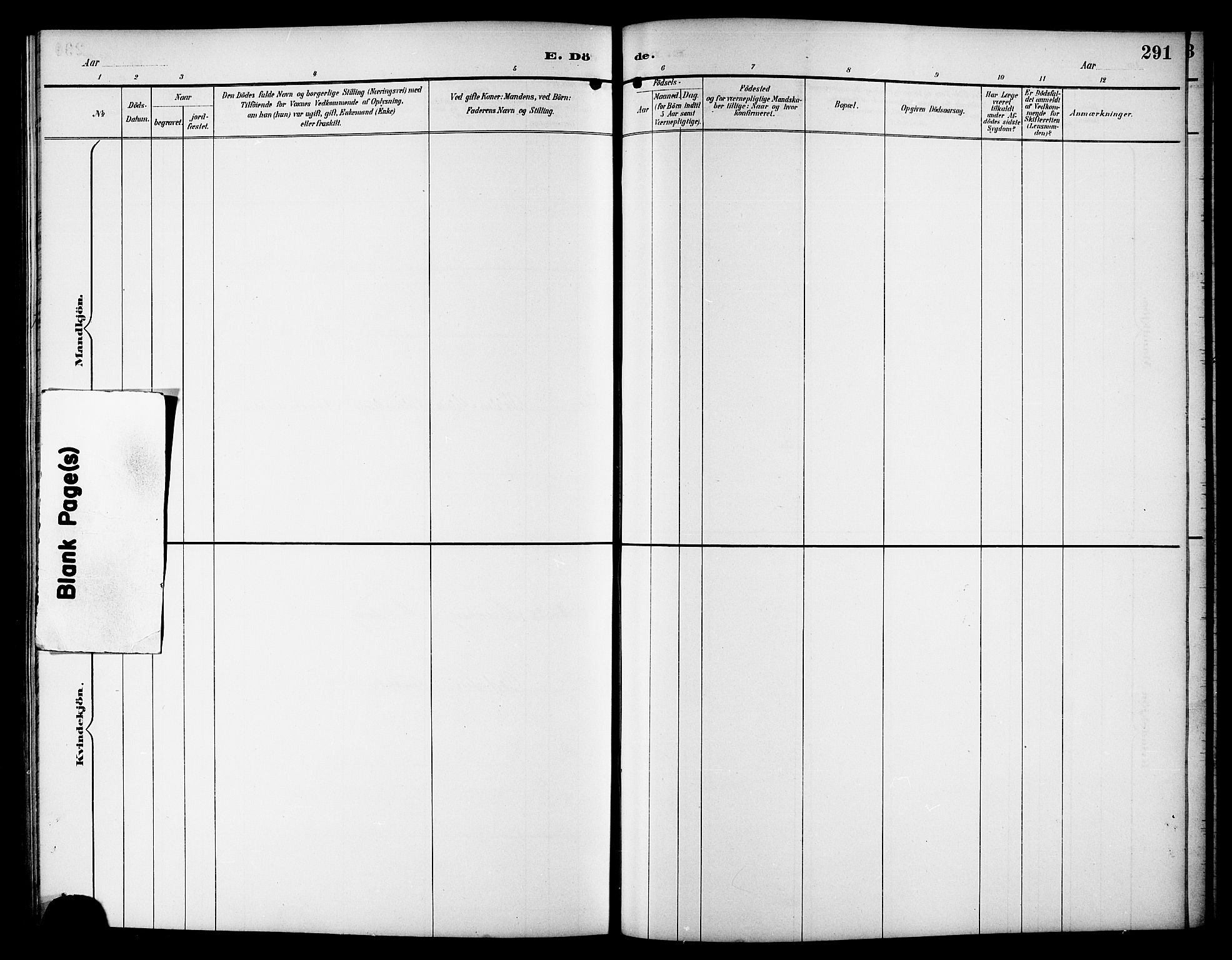 Ministerialprotokoller, klokkerbøker og fødselsregistre - Sør-Trøndelag, AV/SAT-A-1456/617/L0431: Parish register (copy) no. 617C01, 1889-1910, p. 291