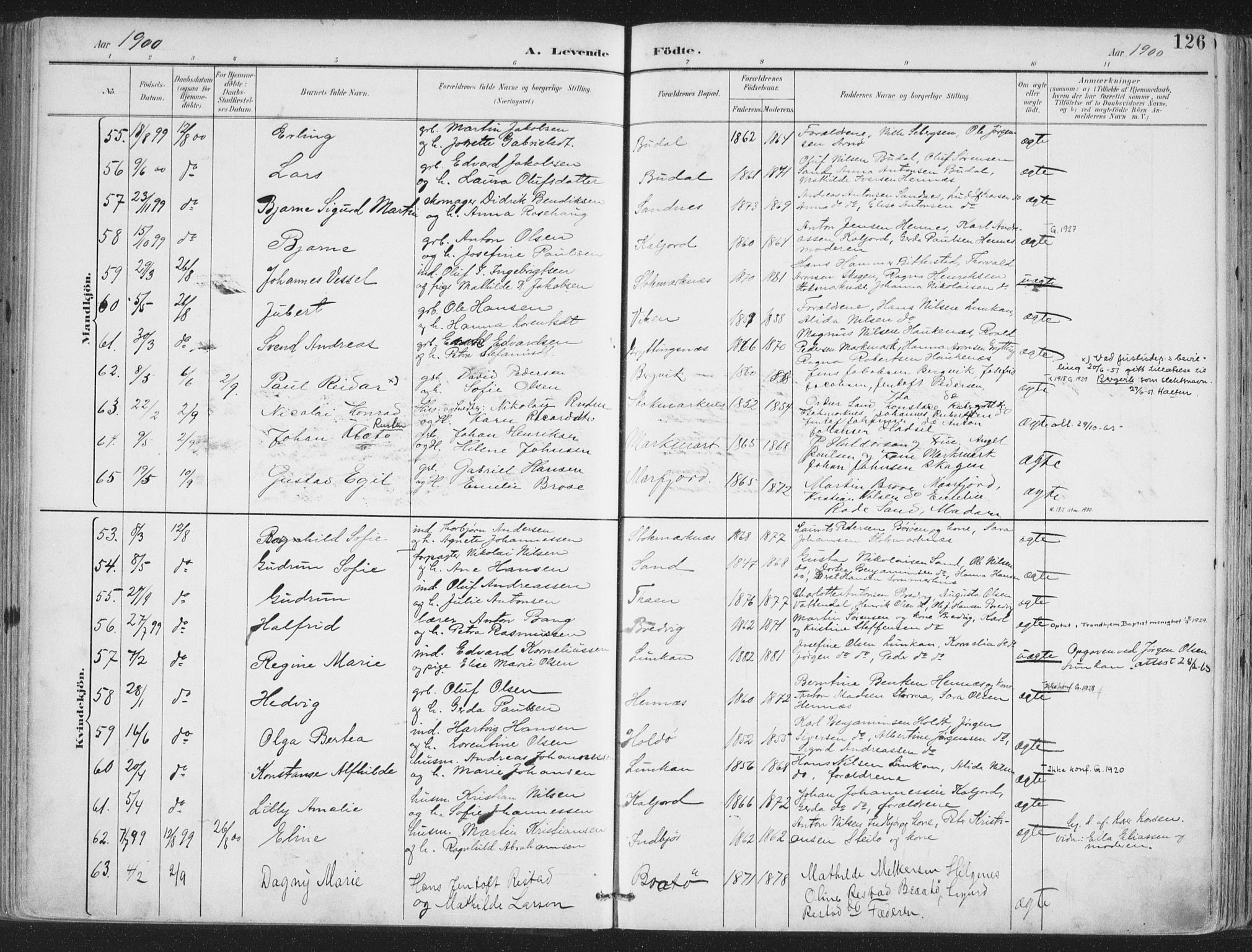 Ministerialprotokoller, klokkerbøker og fødselsregistre - Nordland, SAT/A-1459/888/L1246: Parish register (official) no. 888A12, 1891-1903, p. 126