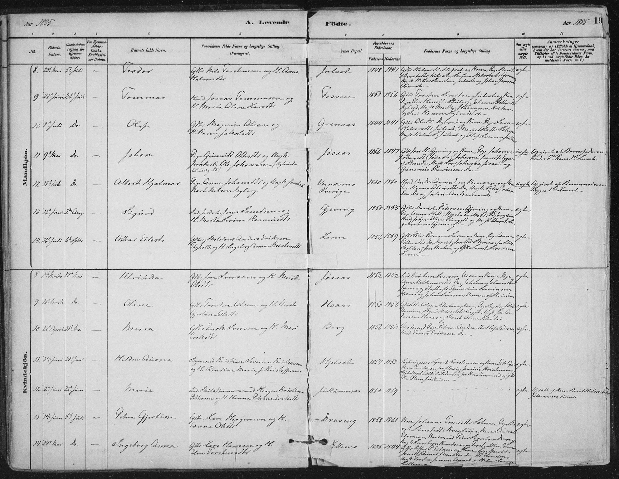 Ministerialprotokoller, klokkerbøker og fødselsregistre - Nord-Trøndelag, SAT/A-1458/710/L0095: Parish register (official) no. 710A01, 1880-1914, p. 19