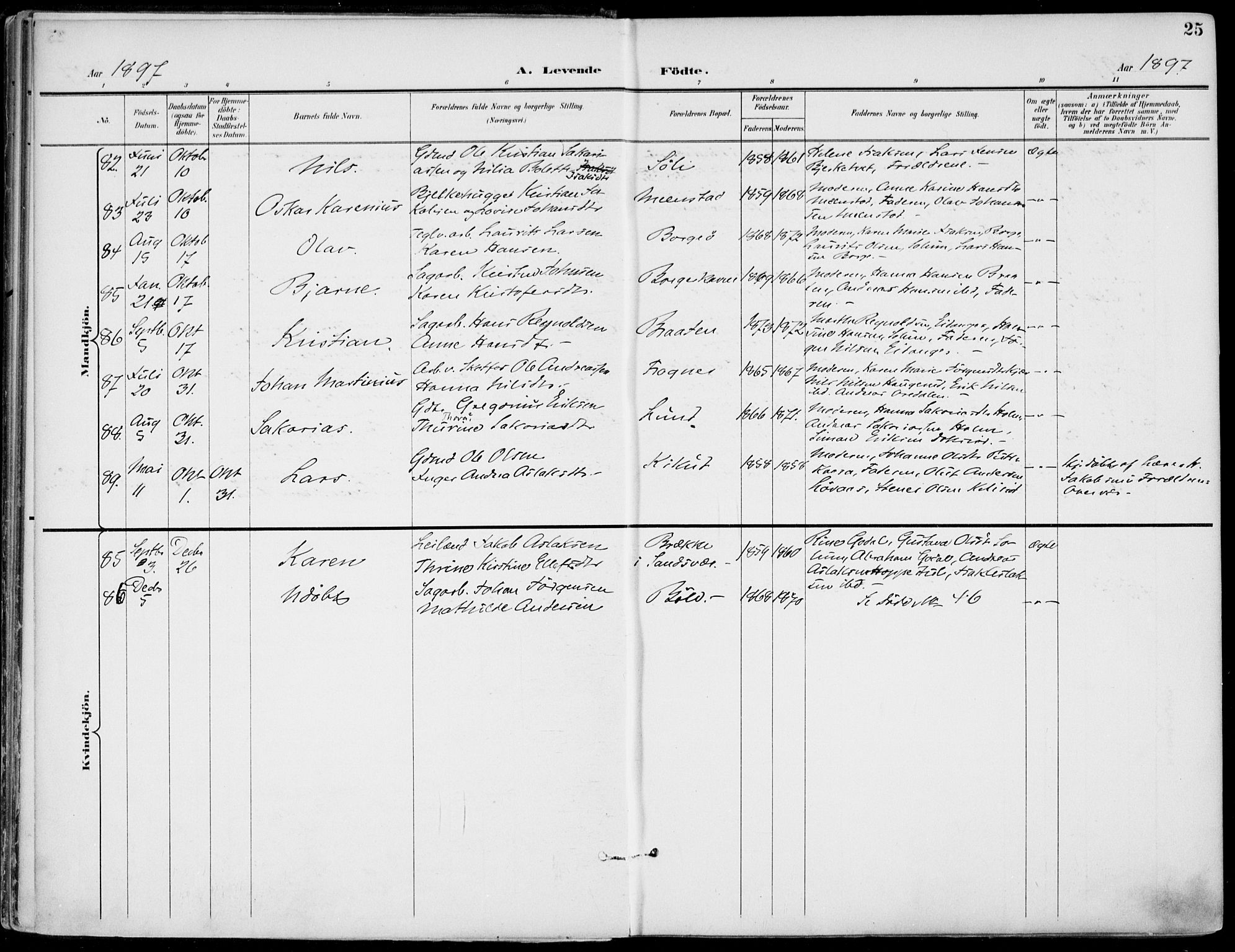 Gjerpen kirkebøker, AV/SAKO-A-265/F/Fa/L0011: Parish register (official) no. I 11, 1896-1904, p. 25