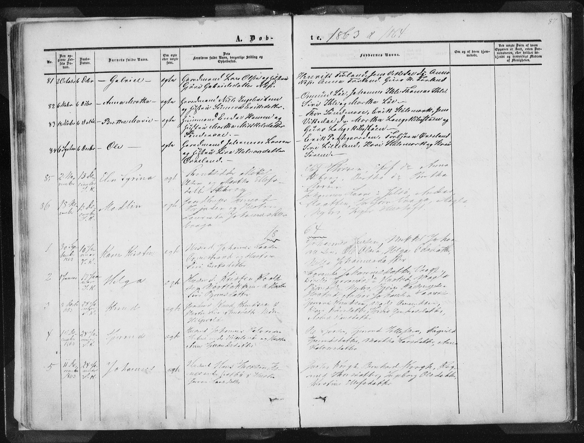 Vikedal sokneprestkontor, AV/SAST-A-101840/01/IV: Parish register (official) no. A 6.1, 1851-1867, p. 87