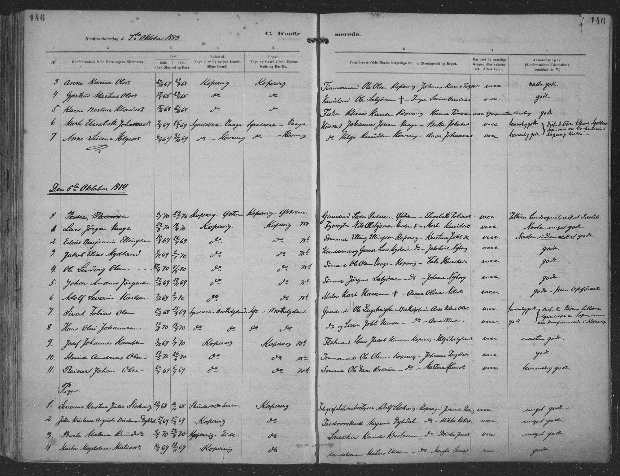 Kopervik sokneprestkontor, SAST/A-101850/H/Ha/Haa/L0001: Parish register (official) no. A 1, 1880-1919, p. 146